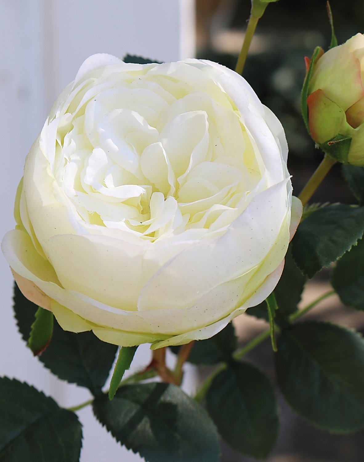 Künstliche Rose, 1 Blüten, 2 Knospen, 60 cm, Real Touch Soft, creme-weiß