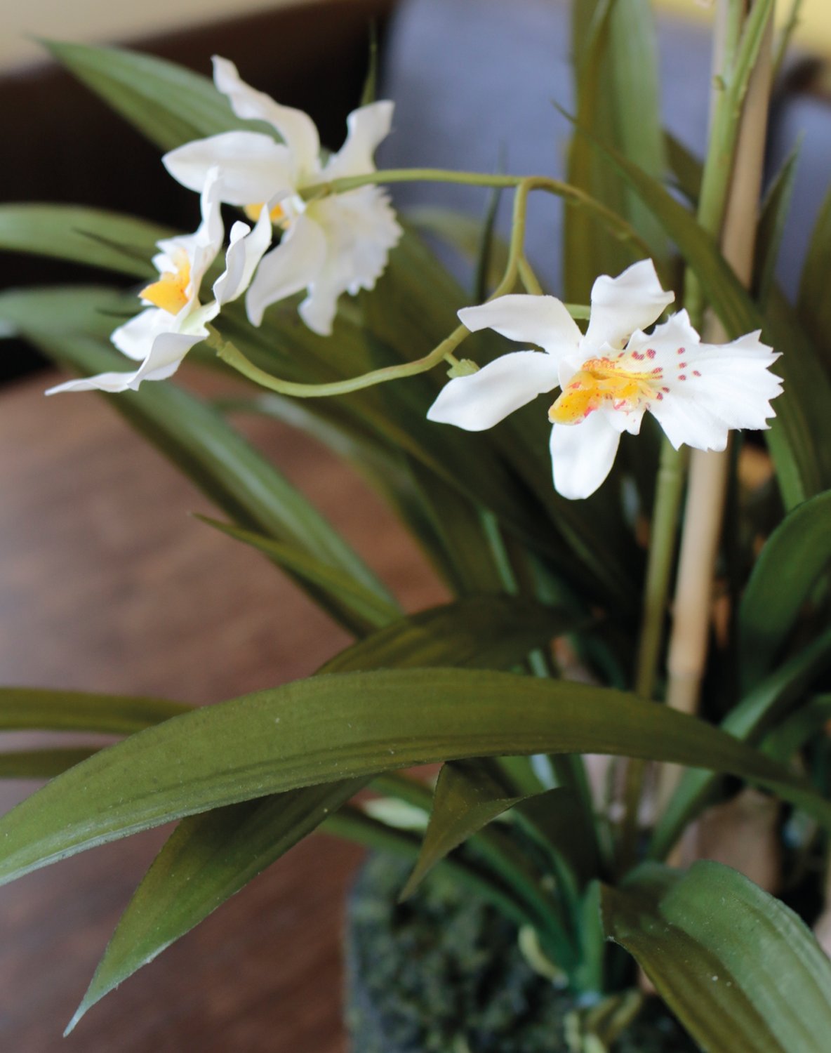 Orchidea Oncidium artificiale in 'Terra', 2 rami, 66 cm, bianco-crema