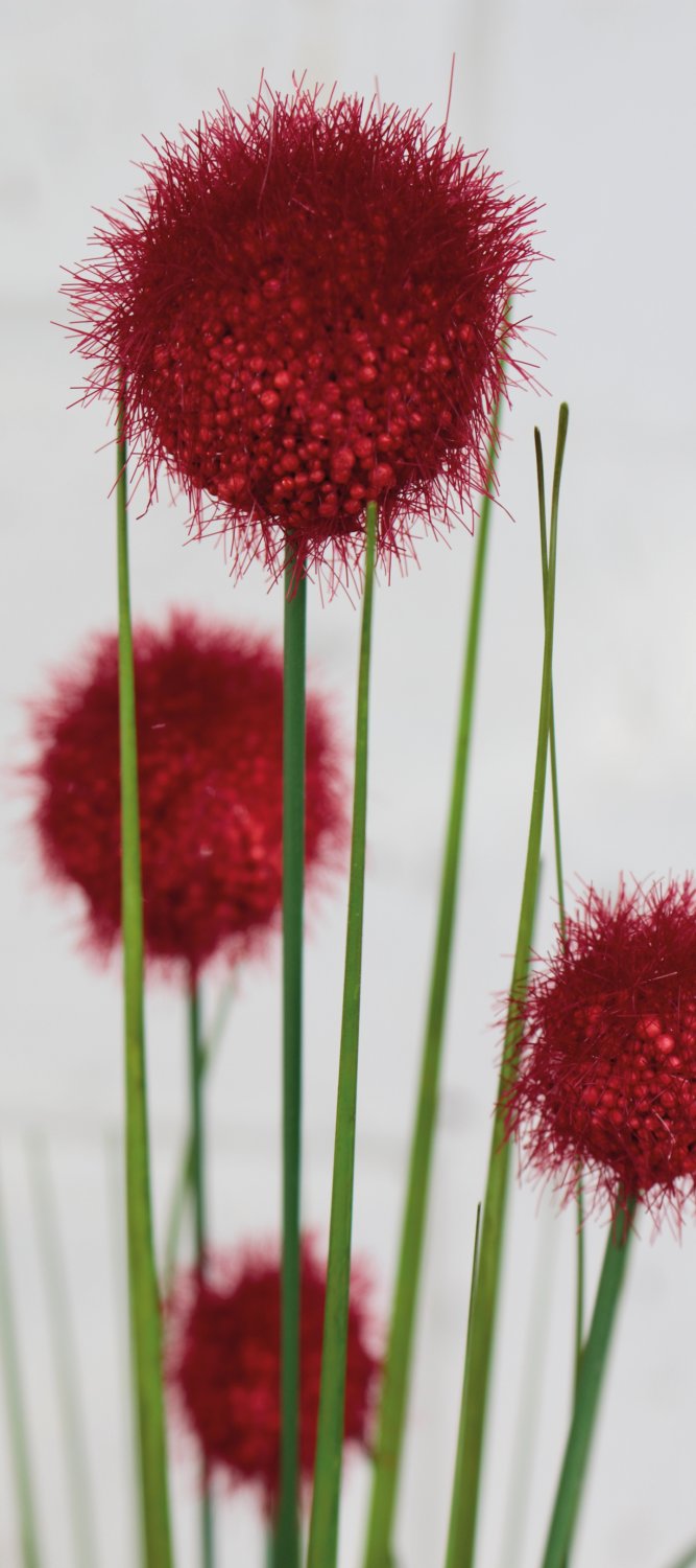 Artificial grass ball, 75 cm, red