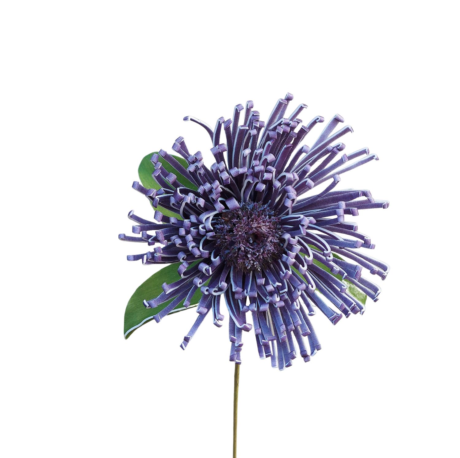 Deko Soft flower 'Nadelkissenprotea', 103 cm, dunkelviolett