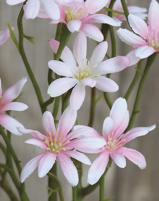 Artificial sea aster, 45 cm, white-pink