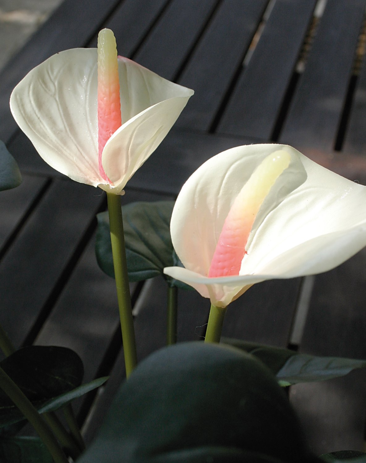 Künstliche Anthurium, getopft, 39 cm, weiß-rosa