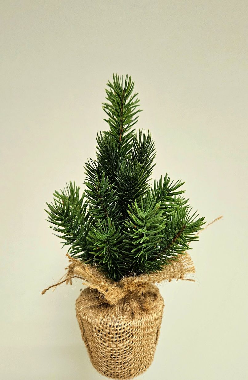 Abete artificiale, 90cm, in vaso, verde