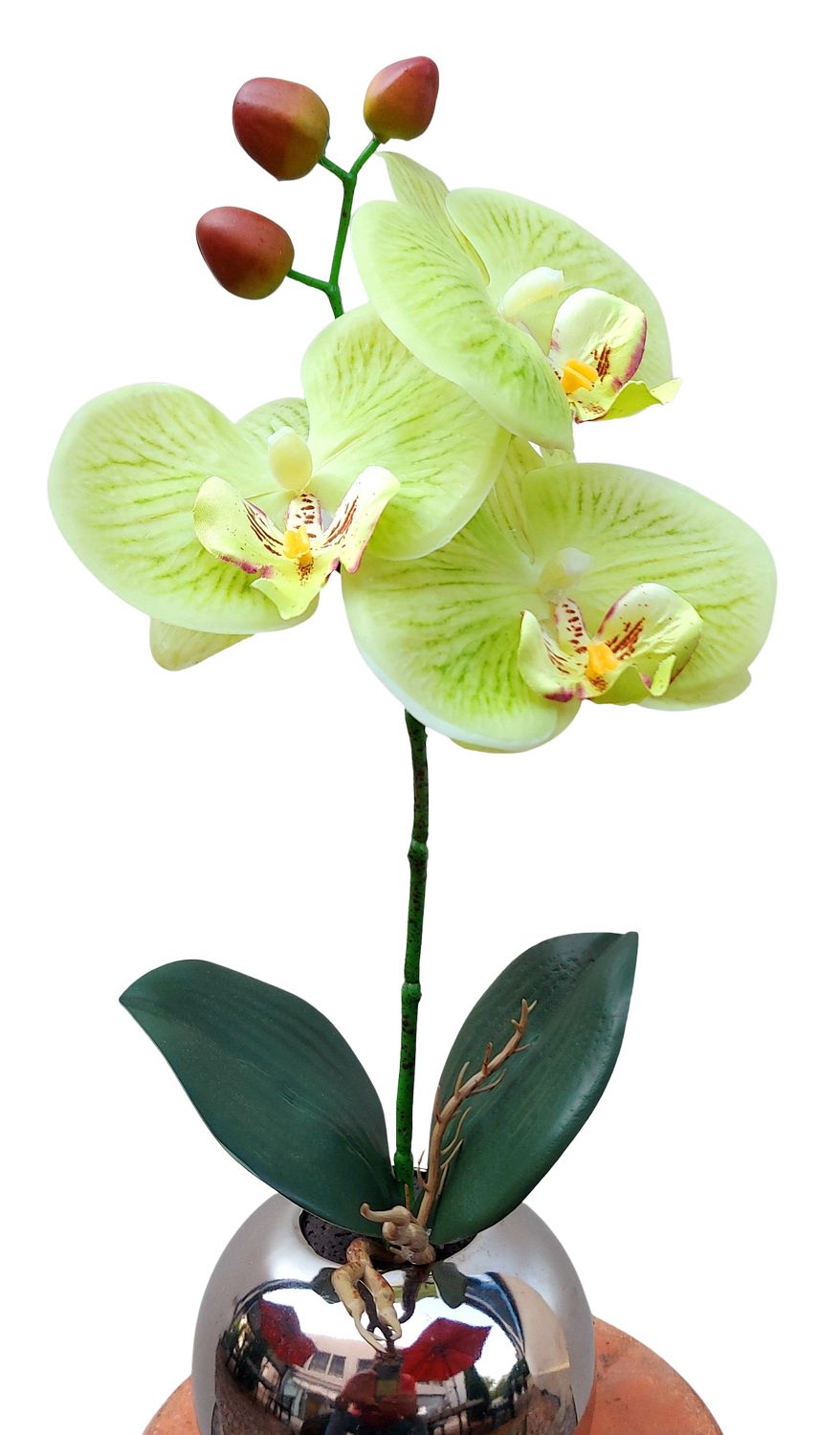 Orchidea artificiale in vaso argentato, 32 cm, tocco reale, verde crema