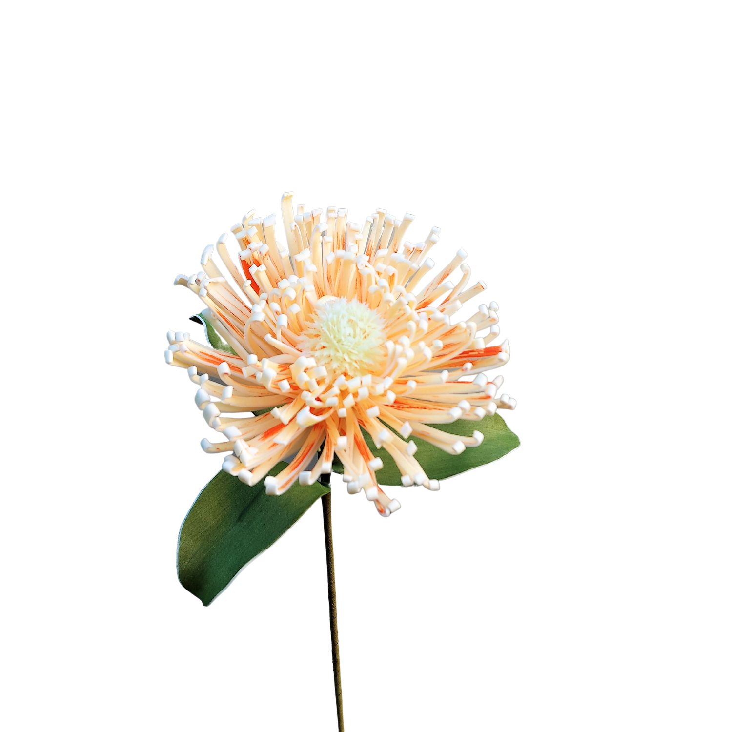 Deko Soft flower 'Nadelkissenprotea', 103 cm, creme-aprikose