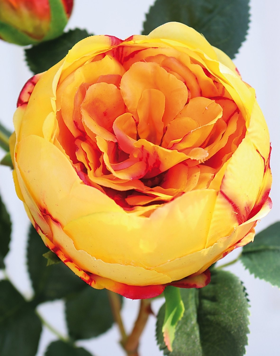 Artificial rose, 1 flower, 2 buds, 60 cm, real touch soft, yellow-orange