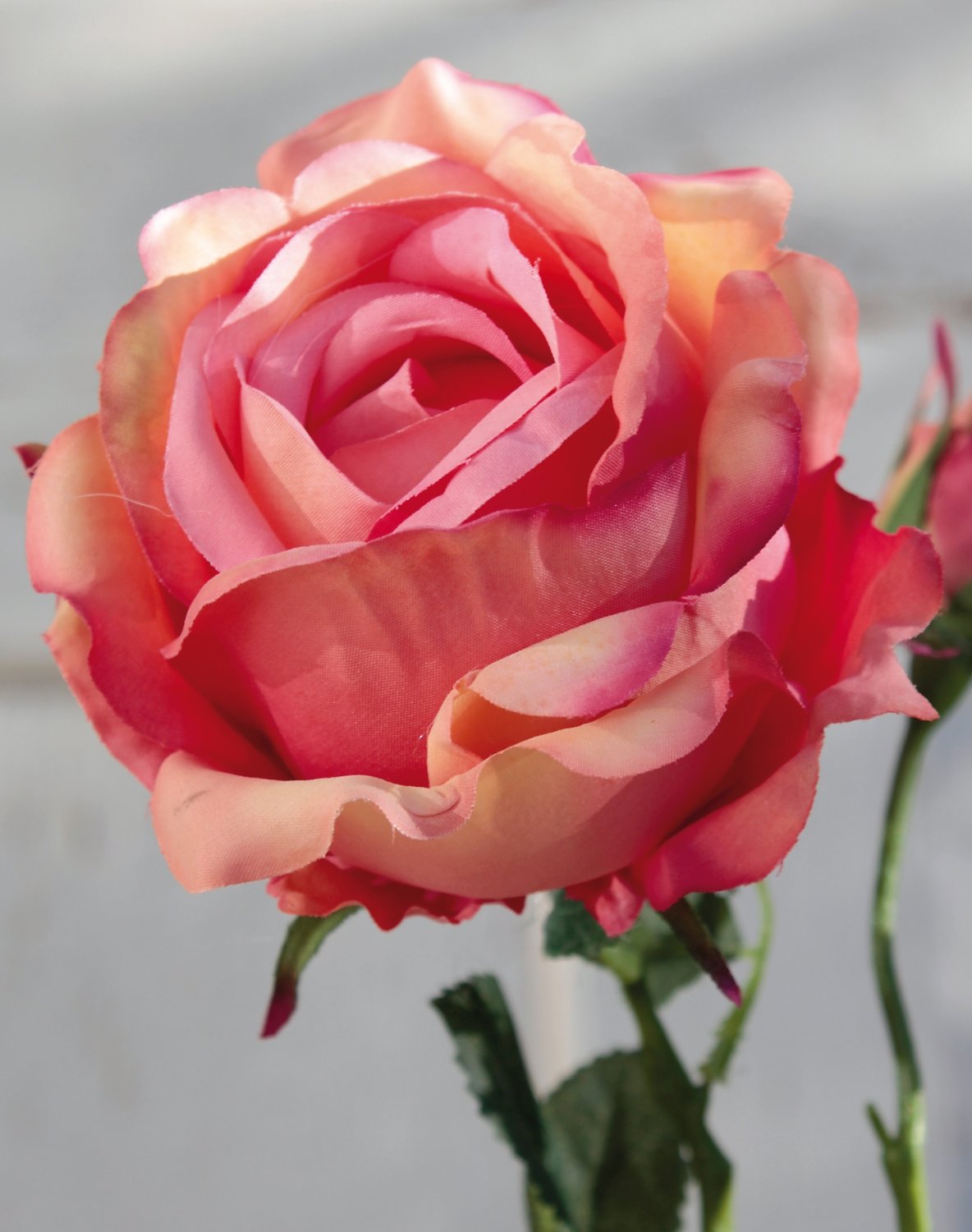 False rose, 1 flower, 2 buds, 72 cm, apricot