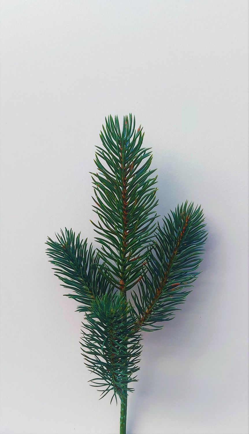 Artificial fir branch, 4-fold, 26 cm, green