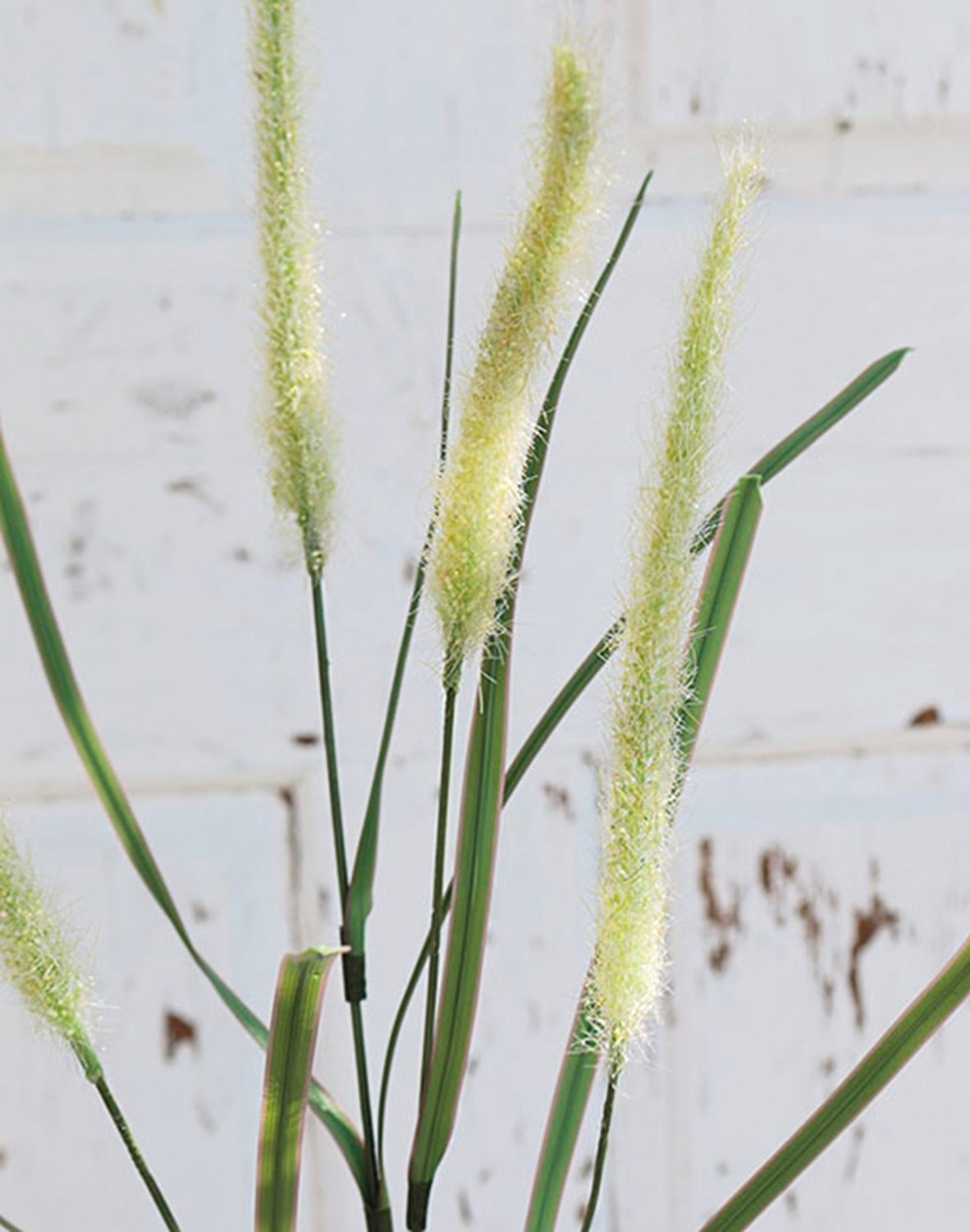 Künstliche Liriope, 4-fach, 95 cm, creme-grün