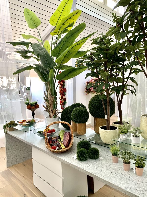 Kuenstliche Palmen im Showroom von H.Andreas Kunstpalmen im H.Andreas Showroom entdecken