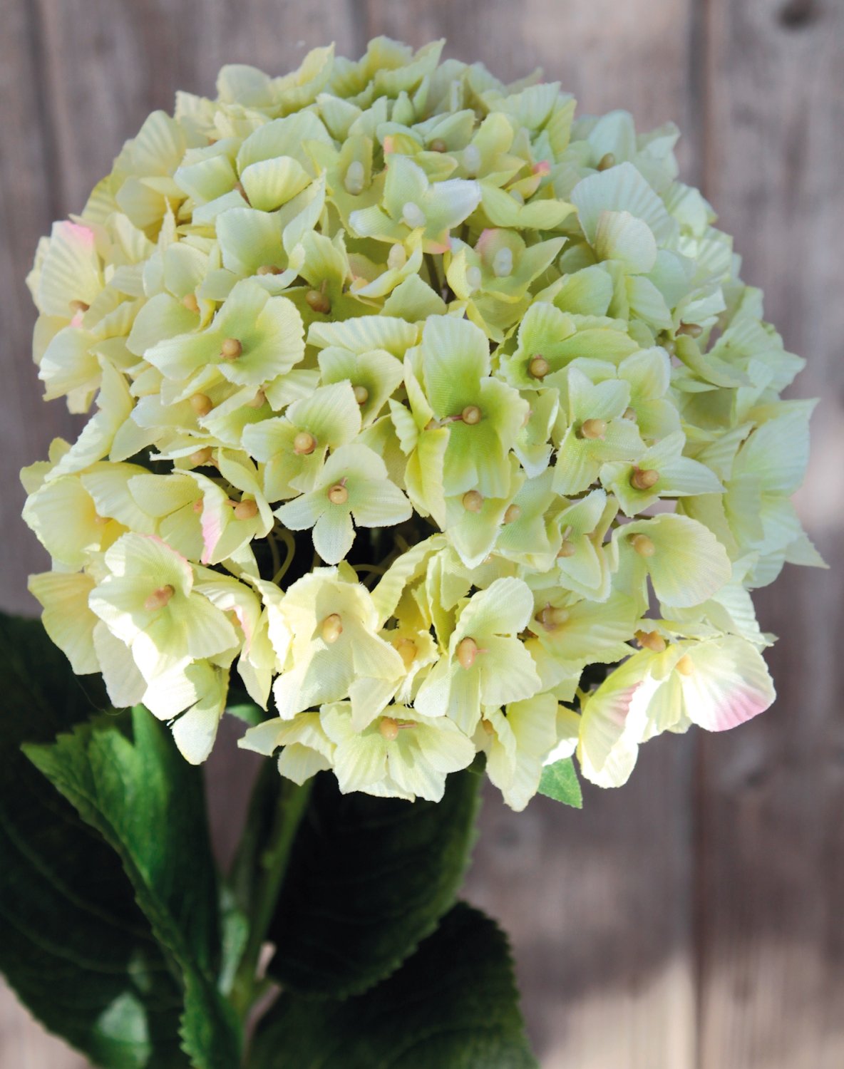 Artificial hortensia, 66 cm, green