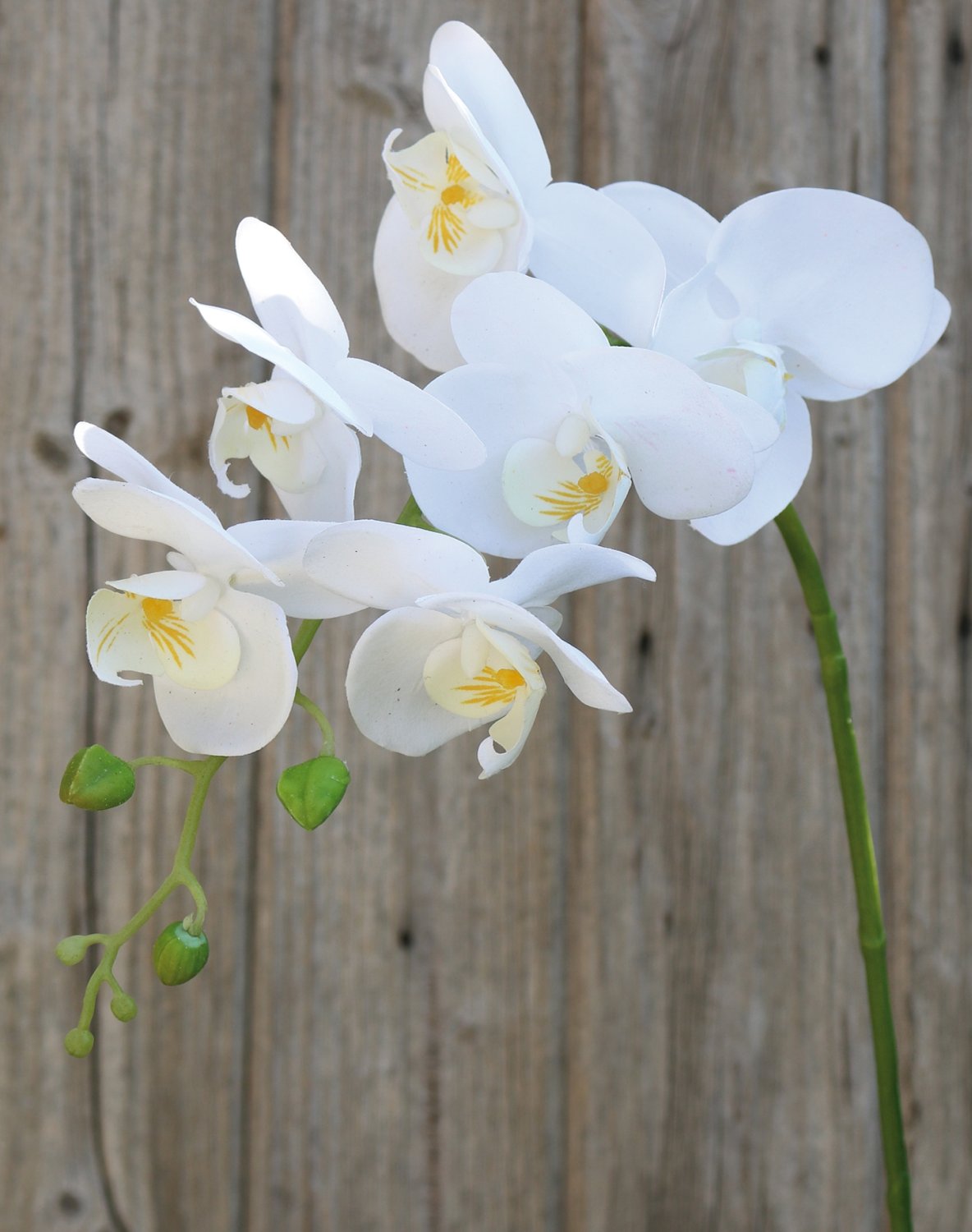 Faux orchid Phalaenopsis, 80 cm, real touch soft, white