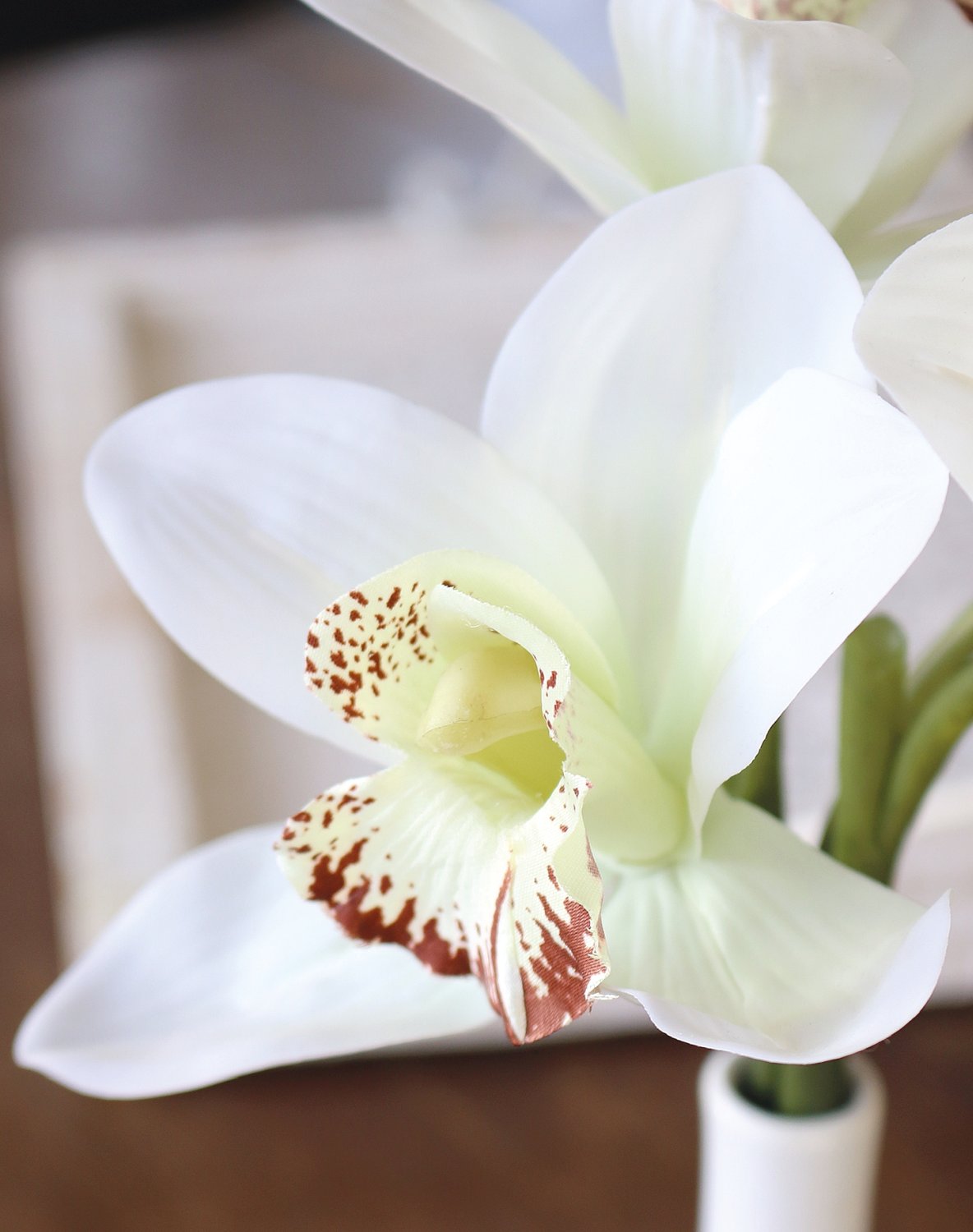 Künstliche Orchidee Cymbidium in Vase, 27 cm, Real Touch, creme-weiß