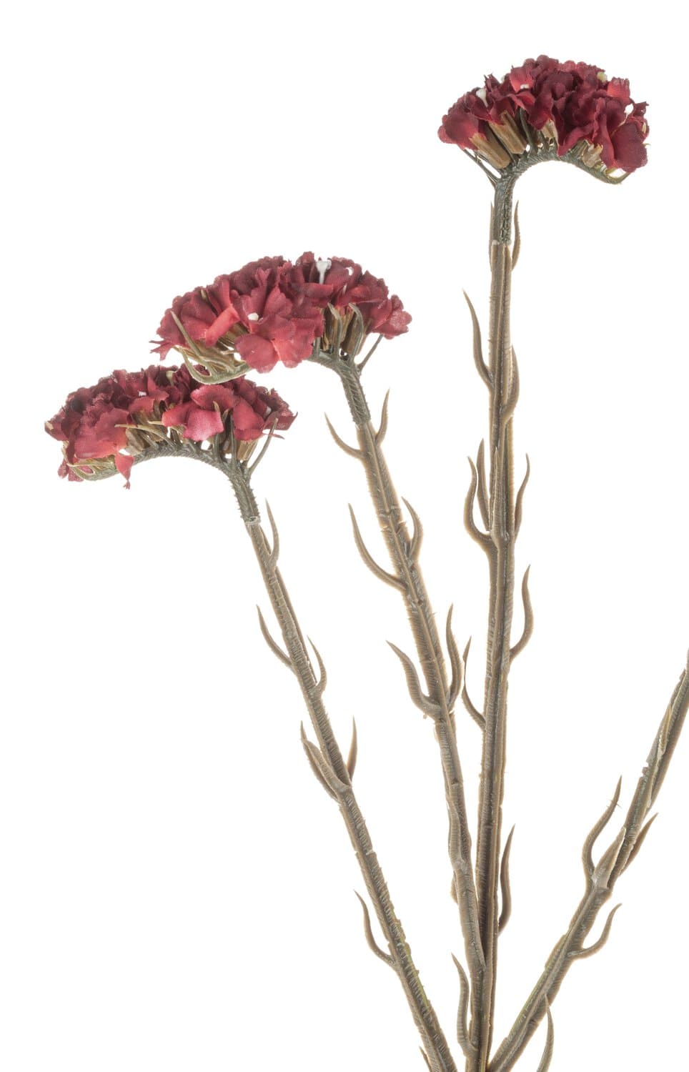 Künstliche Statice Blume "Vintage", 64 cm, burgunderrot