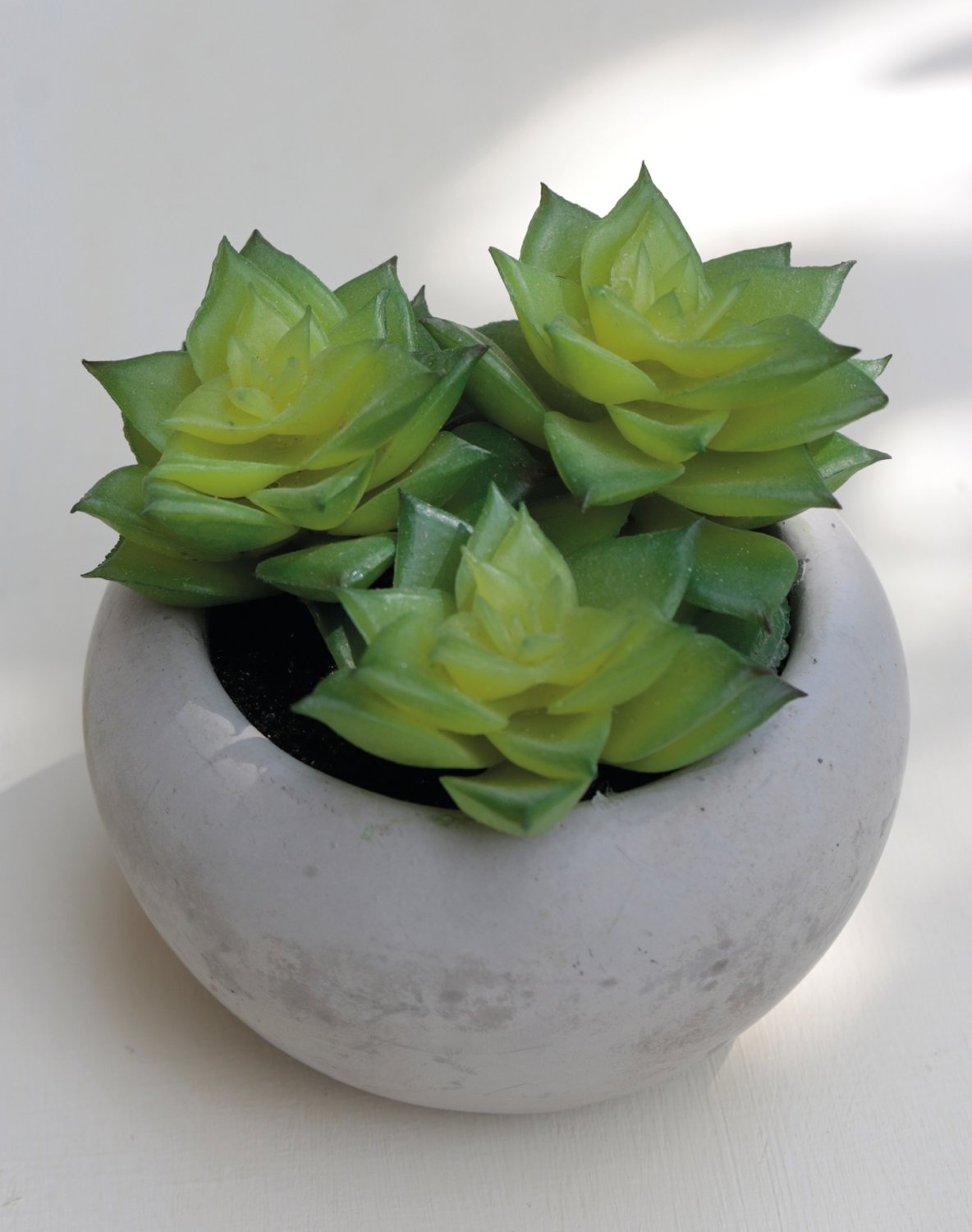 Plastic succulents-mix, potted, 6 pieces, 7-12 cm, green