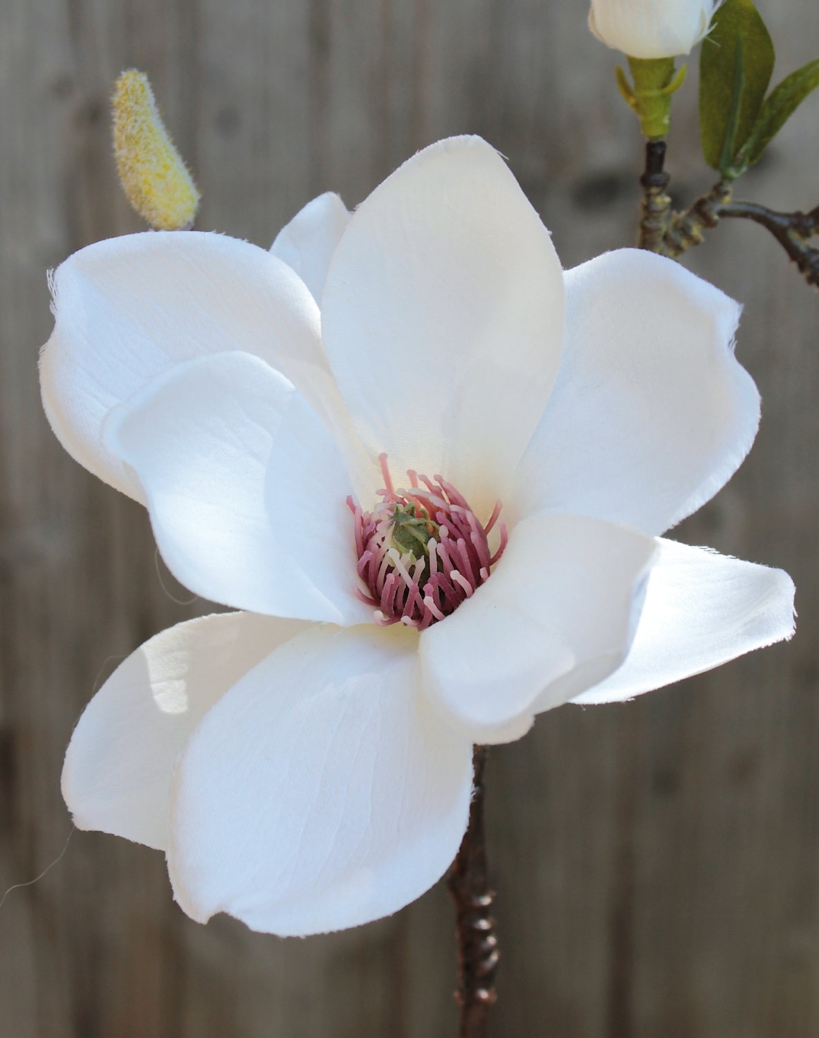 Künstlicher Magnolien Blütenzweig, 36 cm, creme-weiß