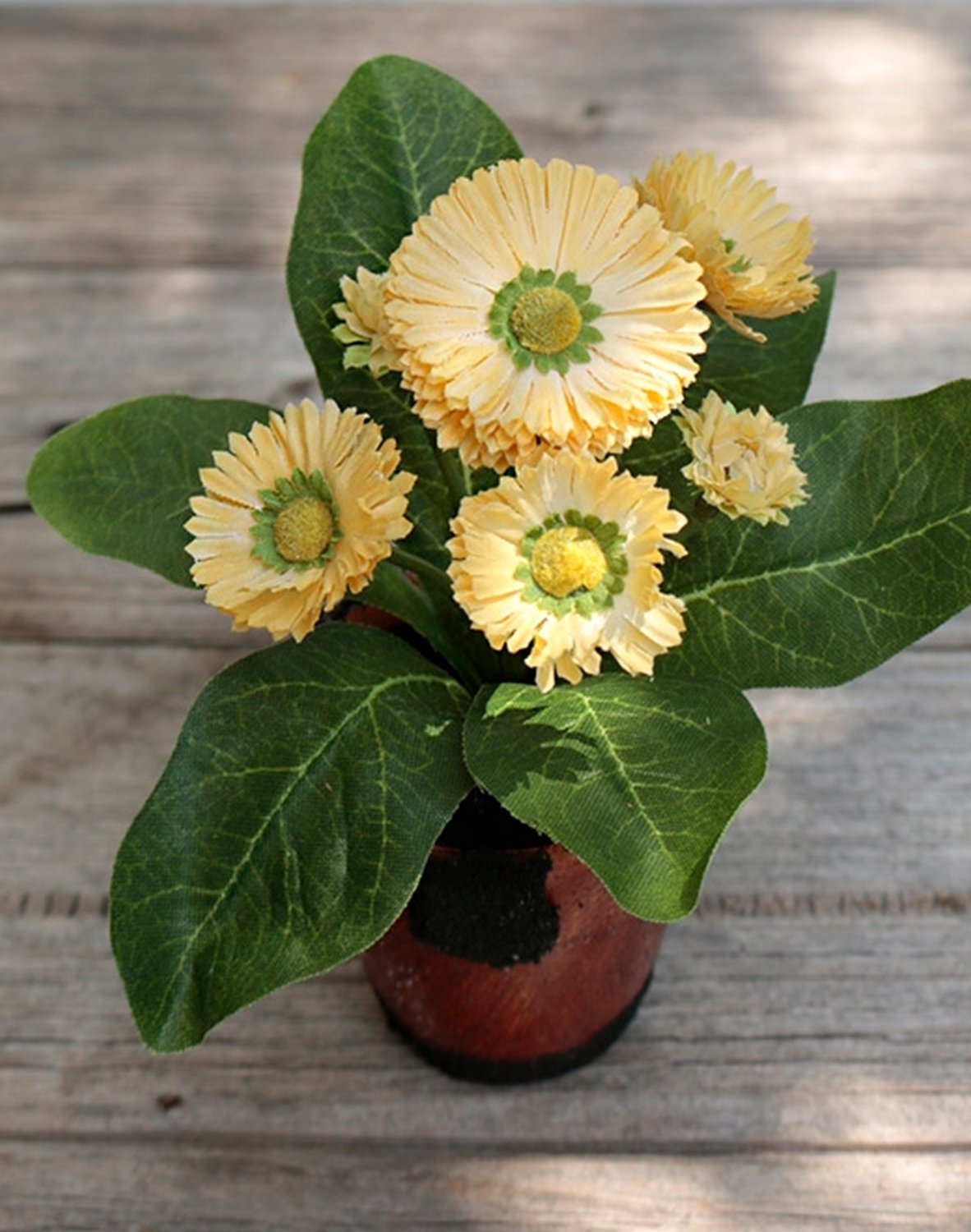 Künstliche Bellis, getopft, 6-fach, 15 cm, gelb