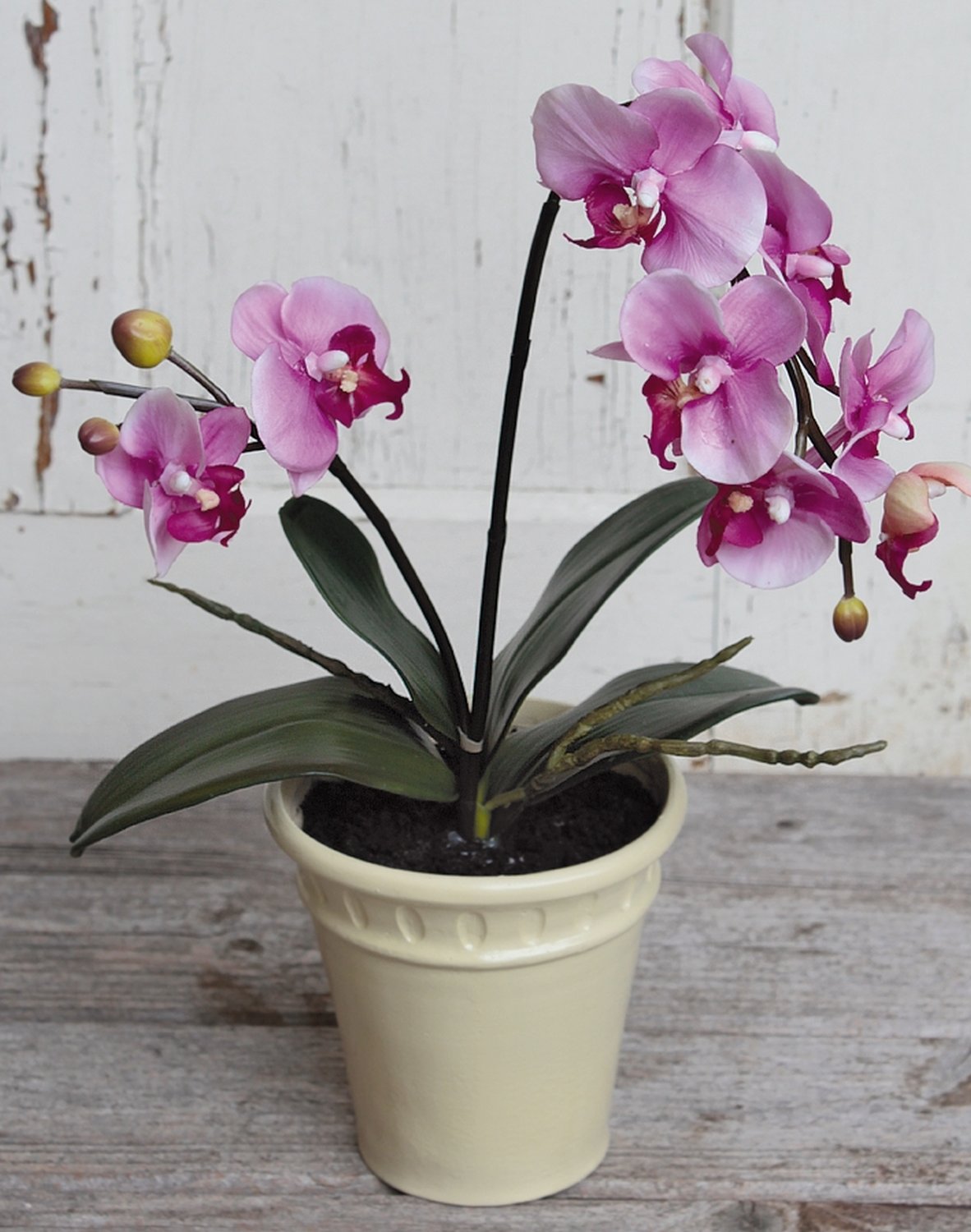 Künstliche Orchidee Phalaenopsis, getopft, 60 cm, Real Touch, hellviolett