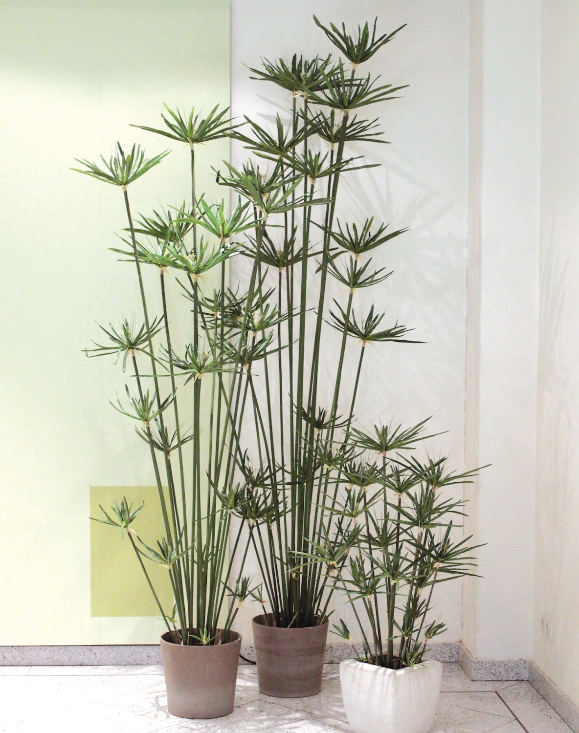 Erba artificiale di cyperus, in vaso, 105 cm, verde