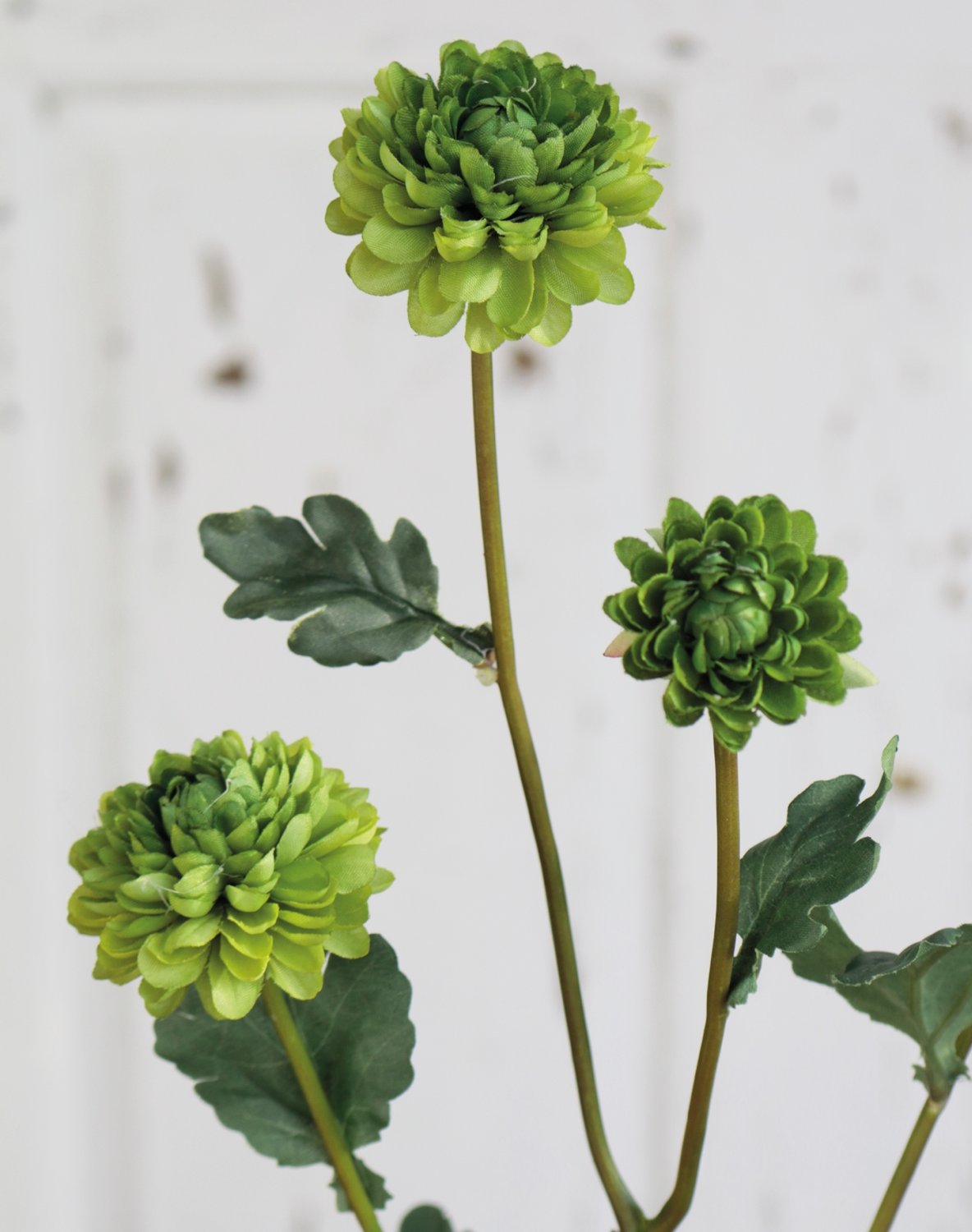 Crisantemo artificiale, 5 fiori, 68 cm, verde