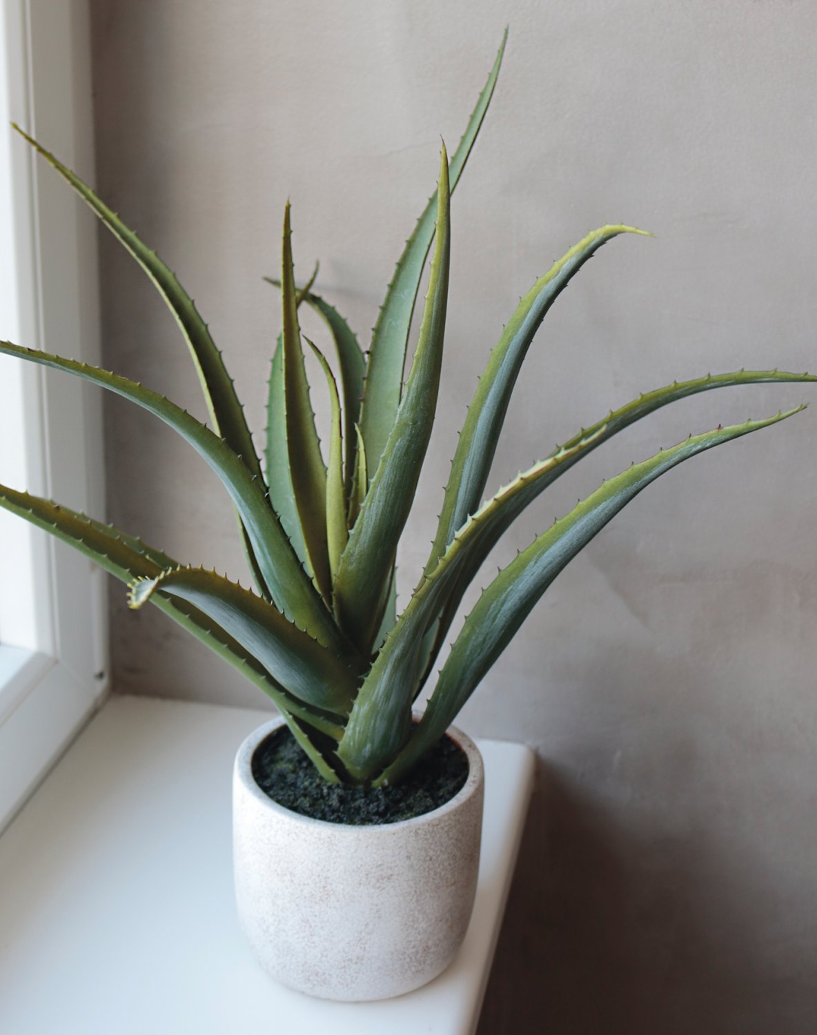 Künstliche Aloe, getopft, 43 cm, grün