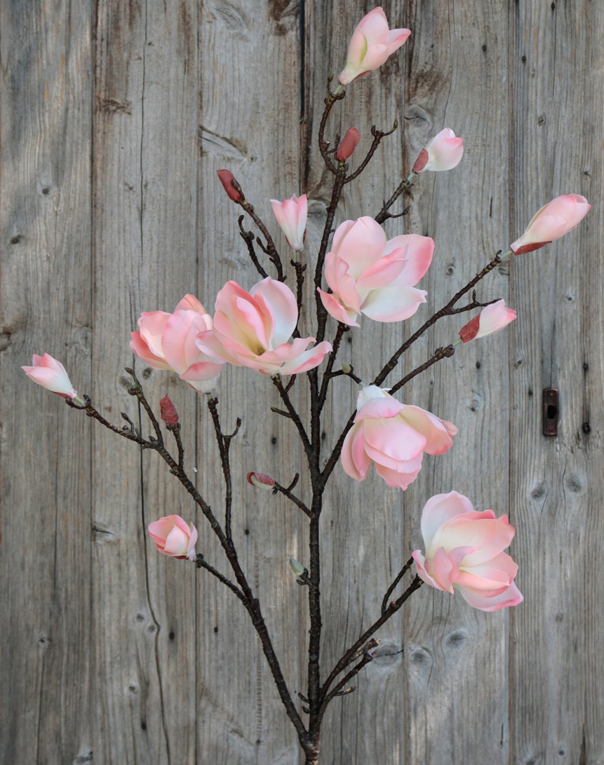 Silk magnolia flower spray, 129 cm, apricot