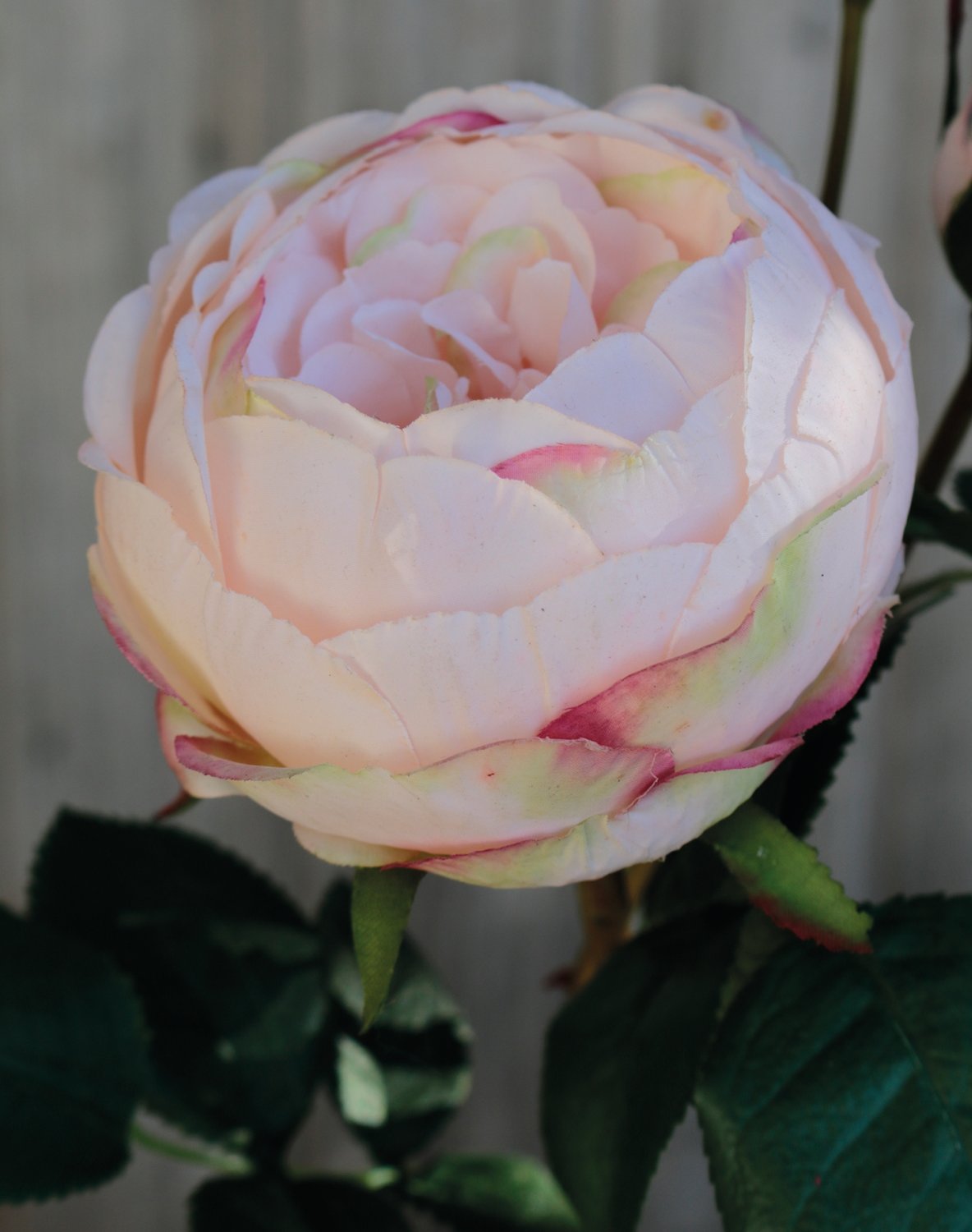 Artificial rose, 1 flower, 2 buds, 60 cm, real touch soft, antique-light pink