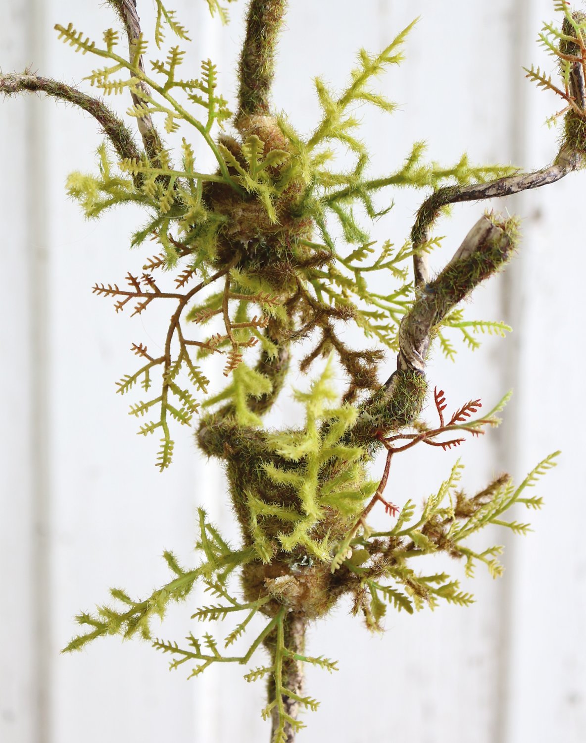 Artificial decorative twig 'curly' with moss & fern, 72 cm, brown-green