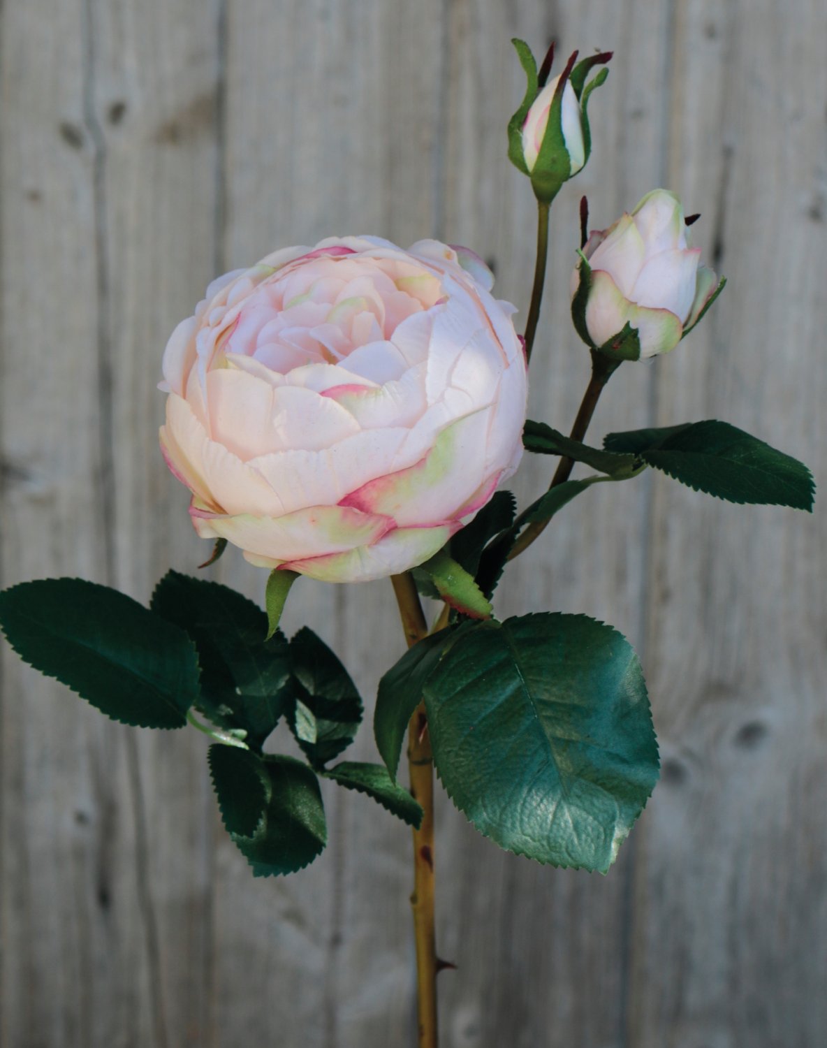 Künstliche Rose, 1 Blüten, 2 Knospen, 60 cm, Real Touch Soft, antik-hellrosa