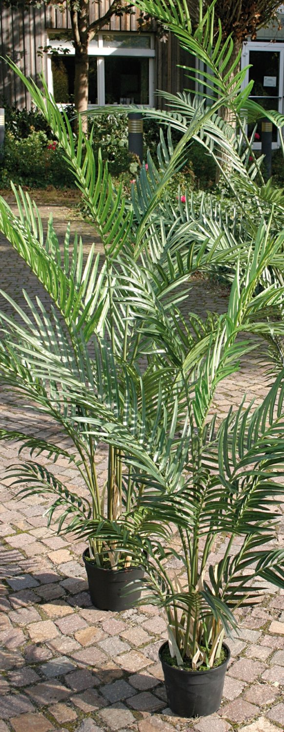 Palma areca artificiale, in vaso, 90 cm, verde