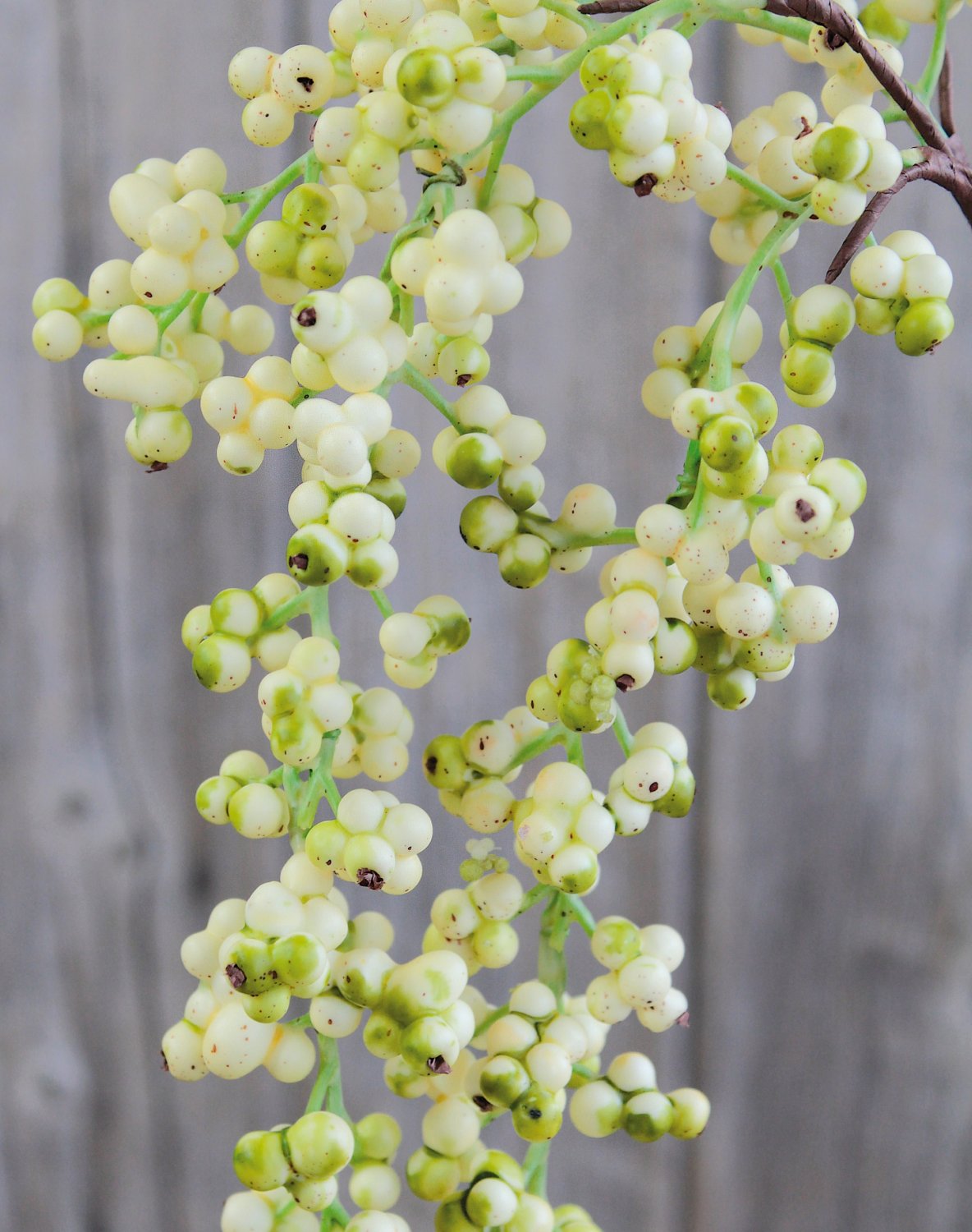 Appendino con ramo di bacche artificiali, 43 cm (totale 65 cm), crema-verde