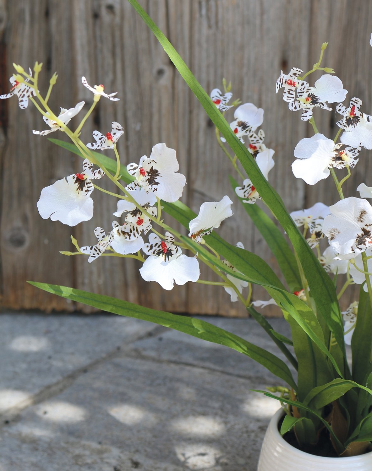 Orchidea Oncidium artificiale, in vaso, 50 cm, bianco-crema