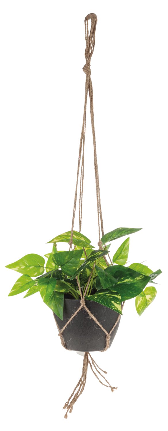 Pothos artificiale in vaso sospeso, 62 cm, verde