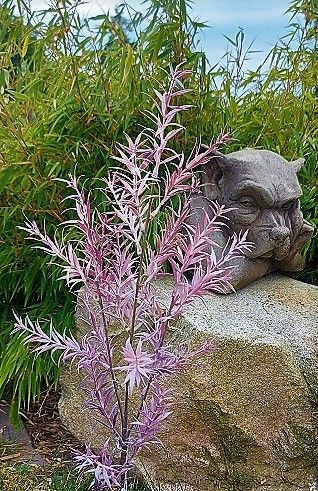 Künstlicher Graszweig, 78 cm, hellviolett-dunkelviolett Künstlicher Graszweig, 78 cm, hellviolett-dunkelviolett