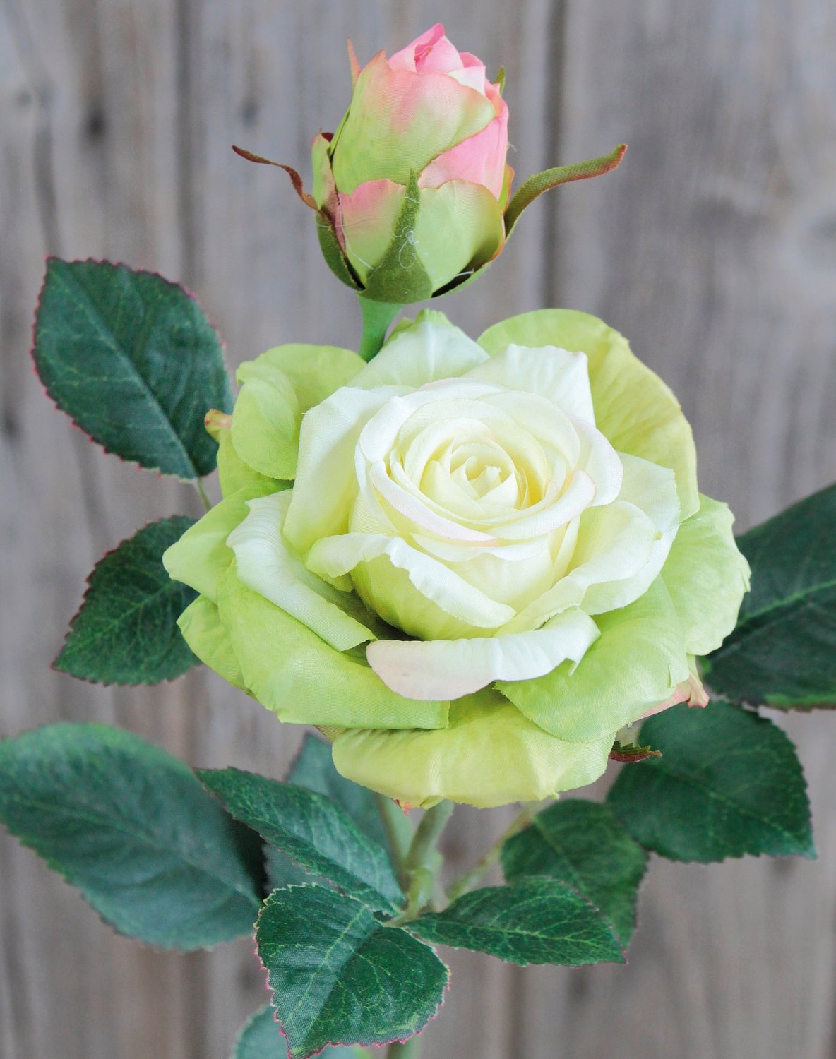 Silk rose, 1 flower, 1 bud, 37 cm, real touch soft, beige-green
