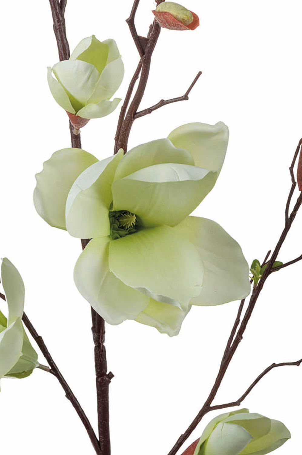 Künstlicher Magnolienblütenzweig, 115 cm, creme-grün