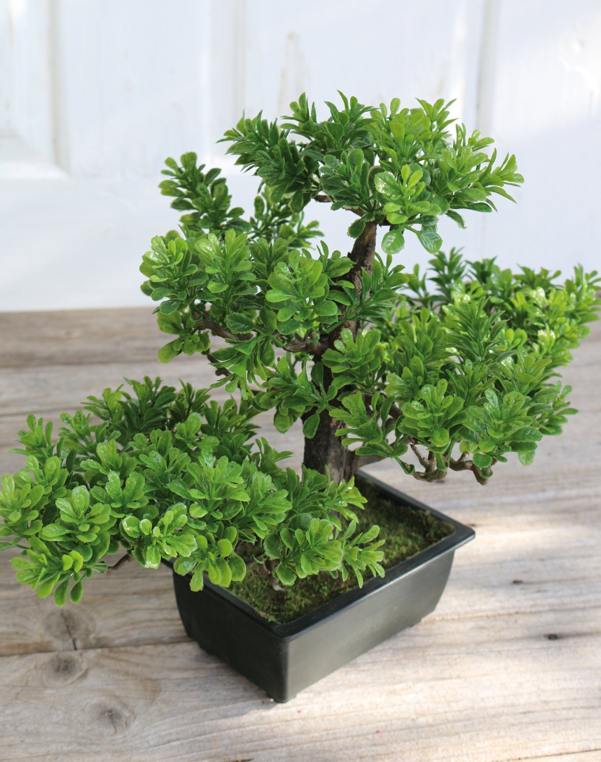 Knstlicher Bonsai-Buchsbaum, getopft, 30 cm, grn