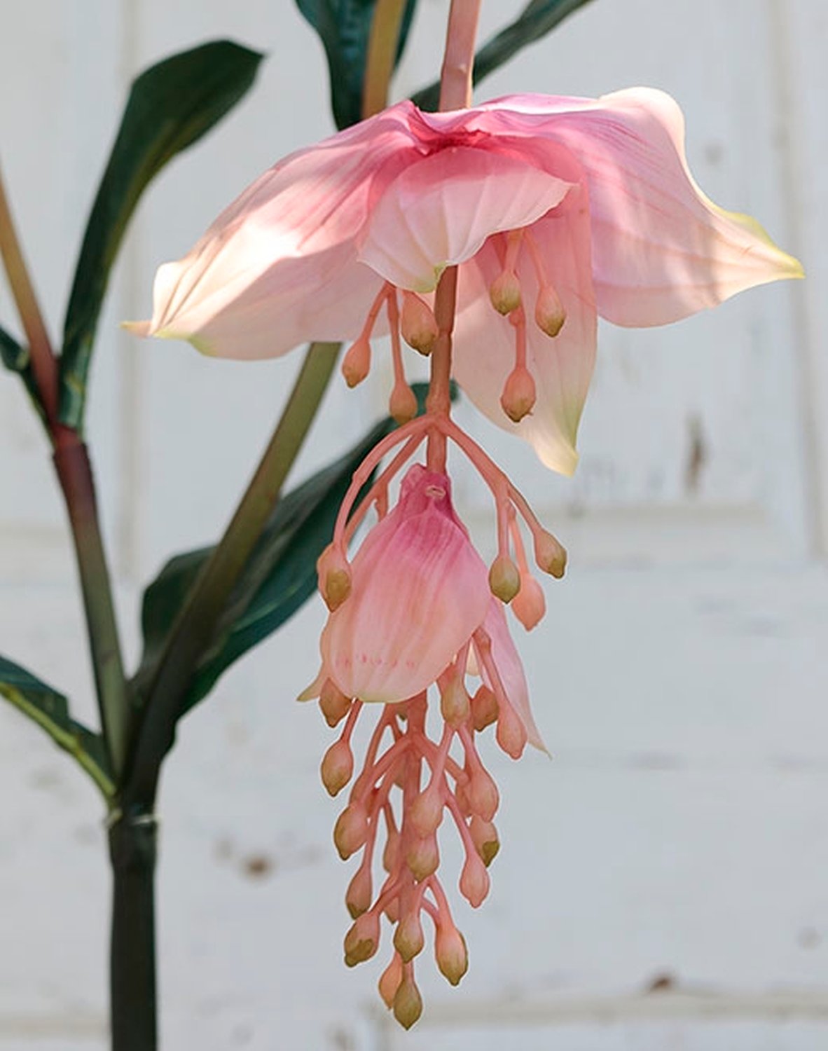 Artificial medinilla stem, 93 cm, real touch, pink