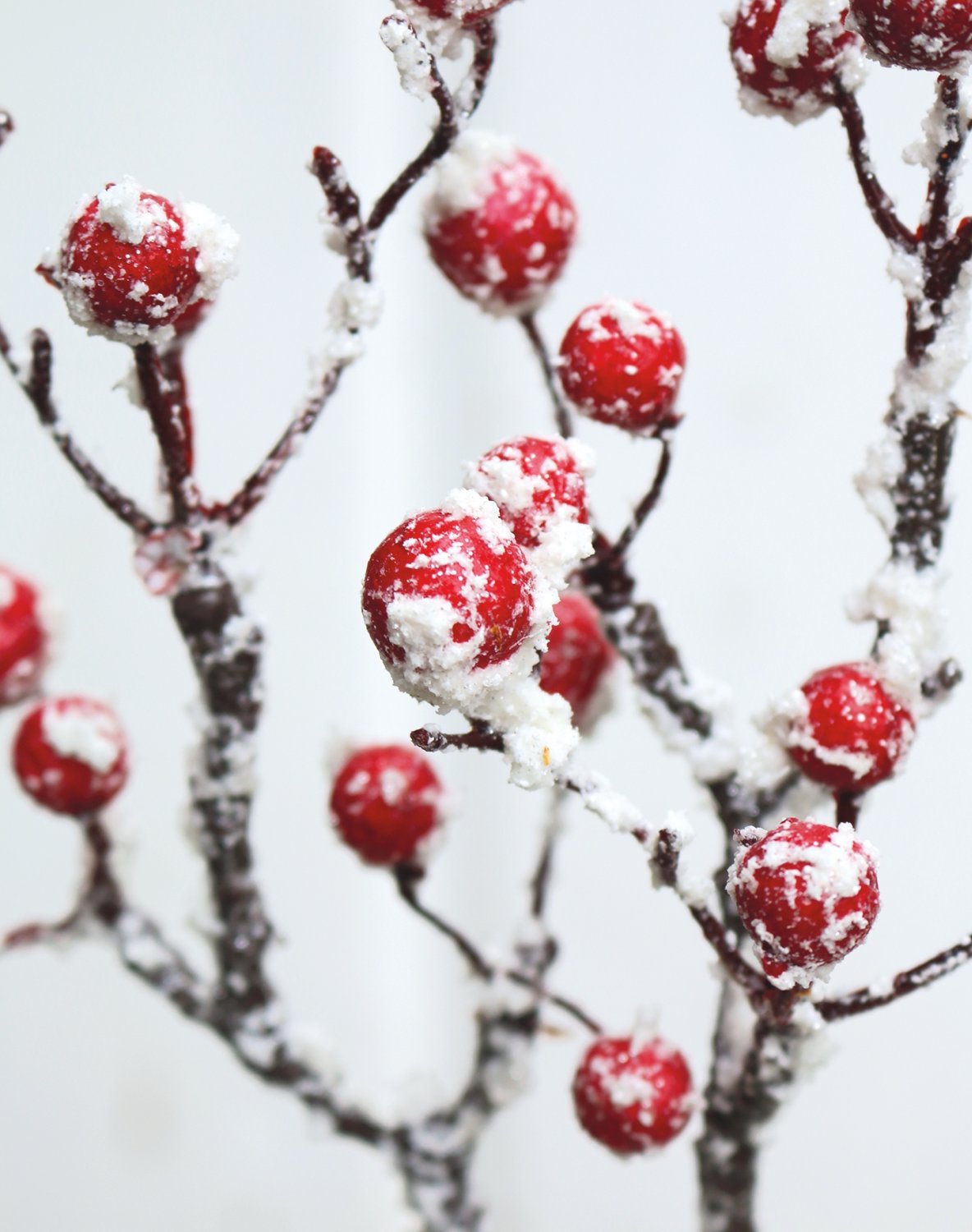 Faux berry branch with snow, 33 cm, red-white