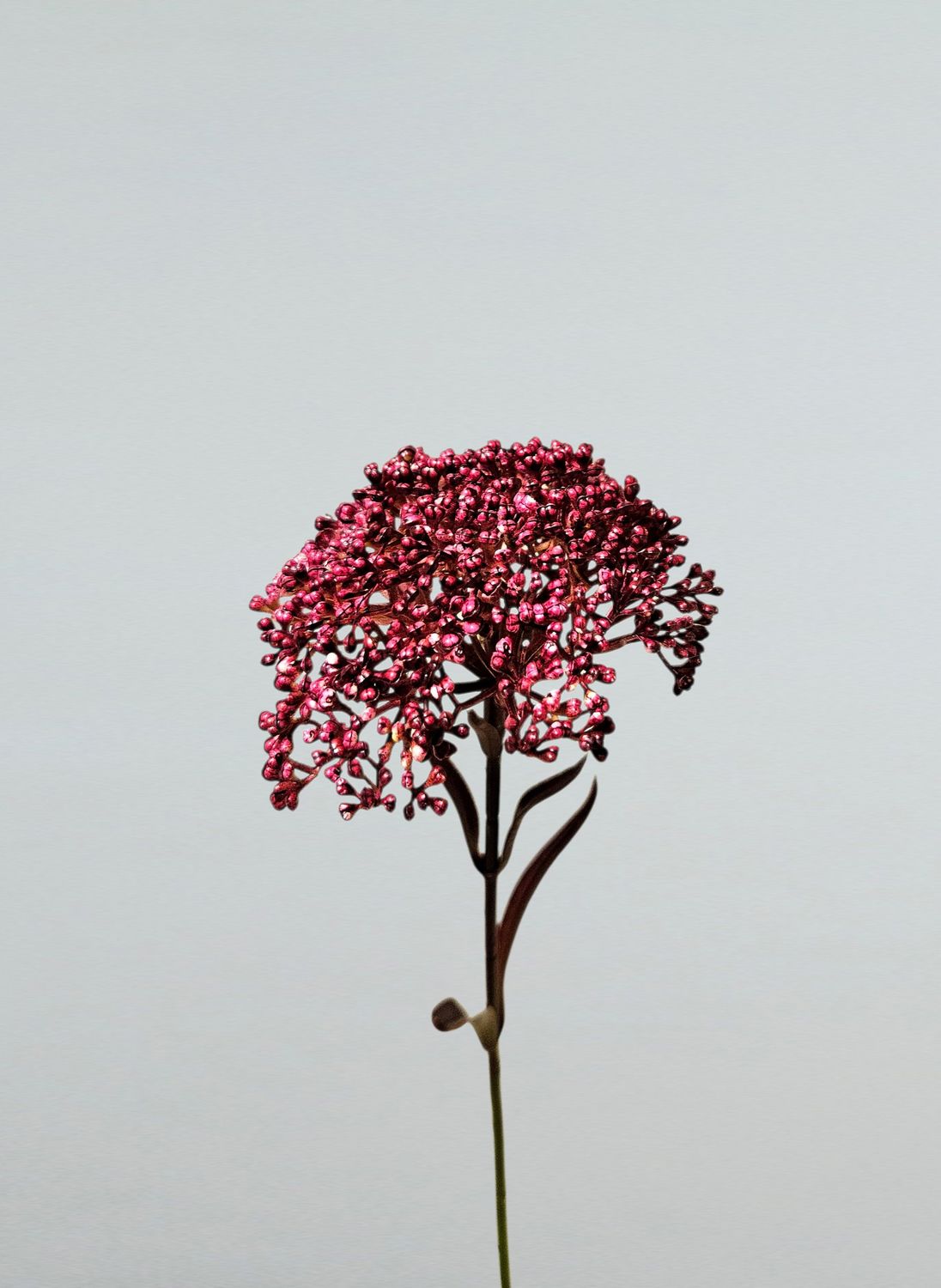 Planta artificial Sedum, 40 cm, violeta claro