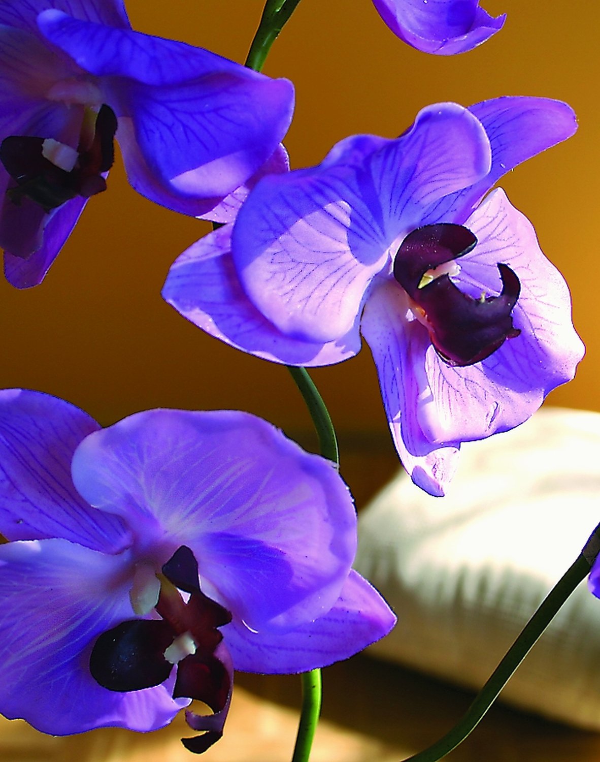 Künstliche Orchidee Phalaenopsis, 3-fach, getopft, 72 cm, Real Touch, hellviolett
