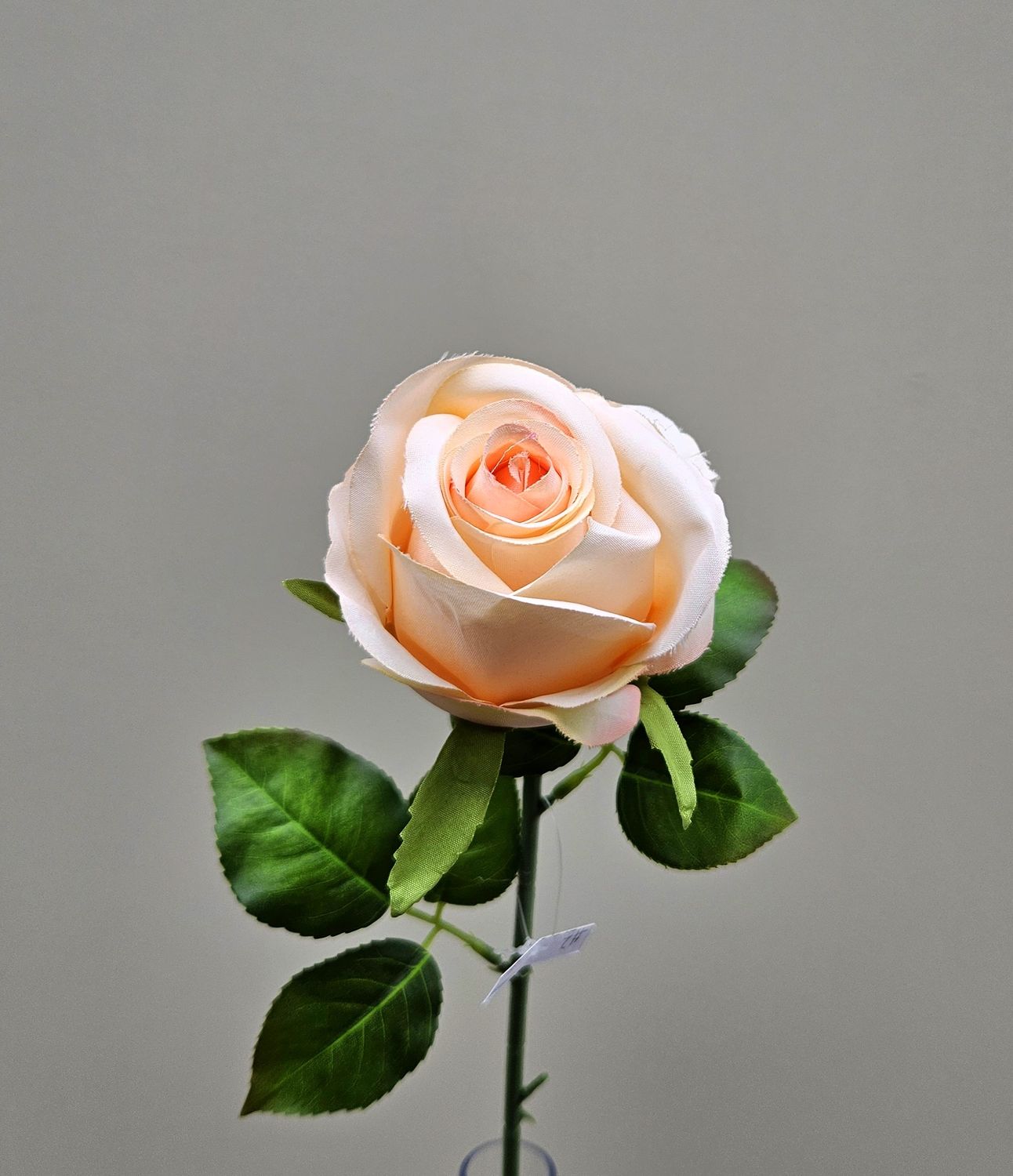 Französische Kunstrose, 50 cm, aprikose Französische Kunstrose, 50 cm, aprikose