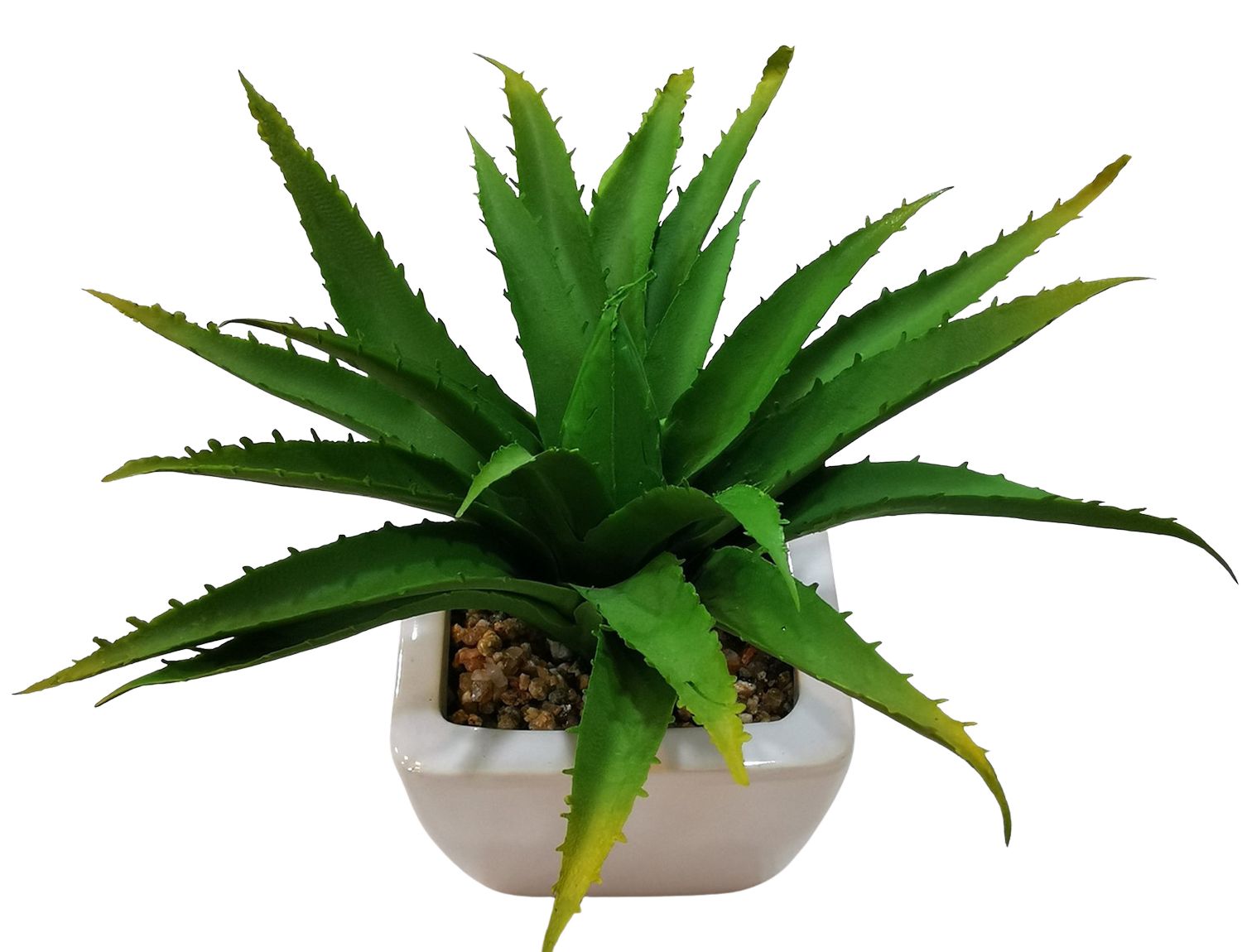 Künstliche Aloe im Keramiktopf, 19 cm, grün