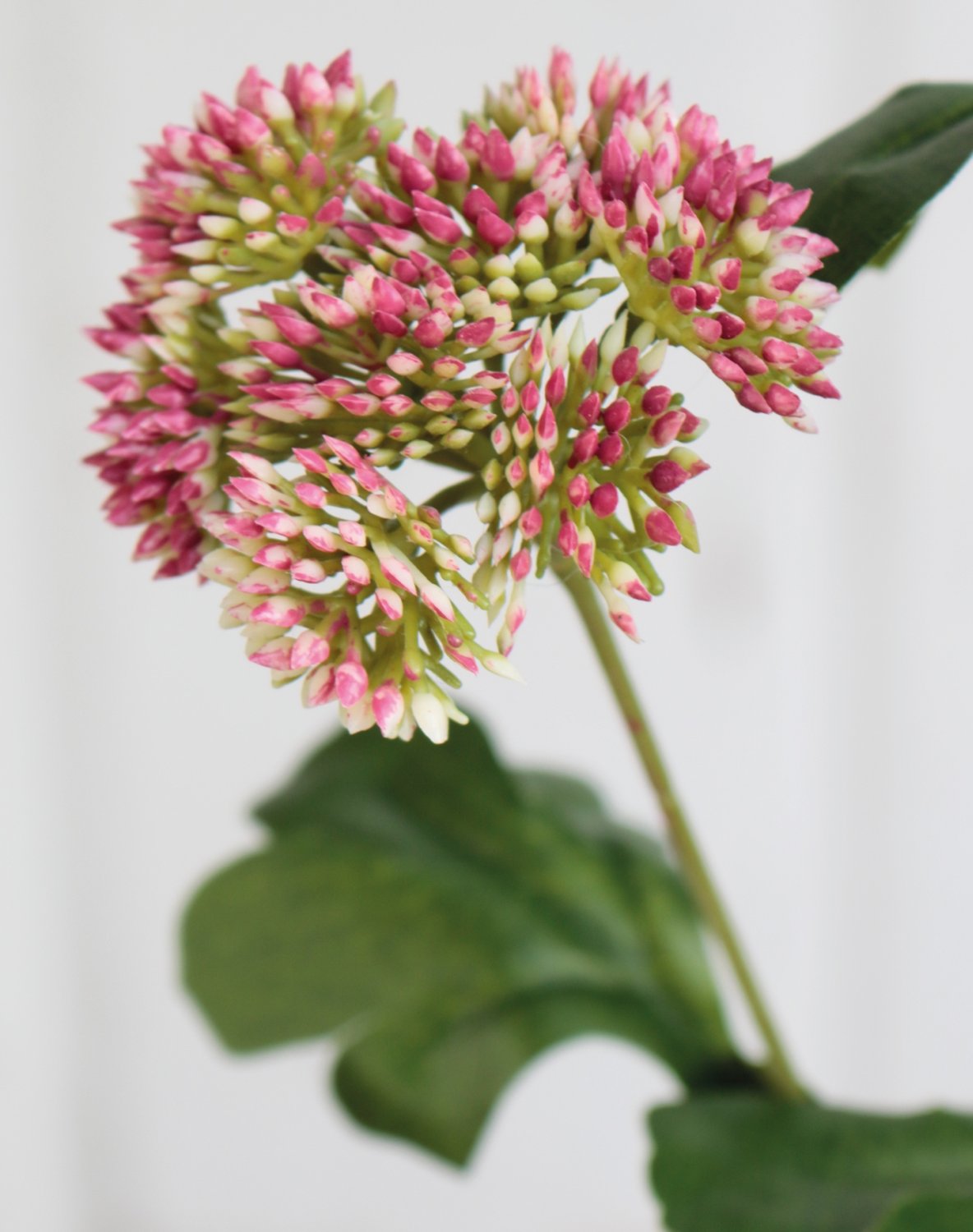 Fake Viburnum stem, 65 cm, green-pink