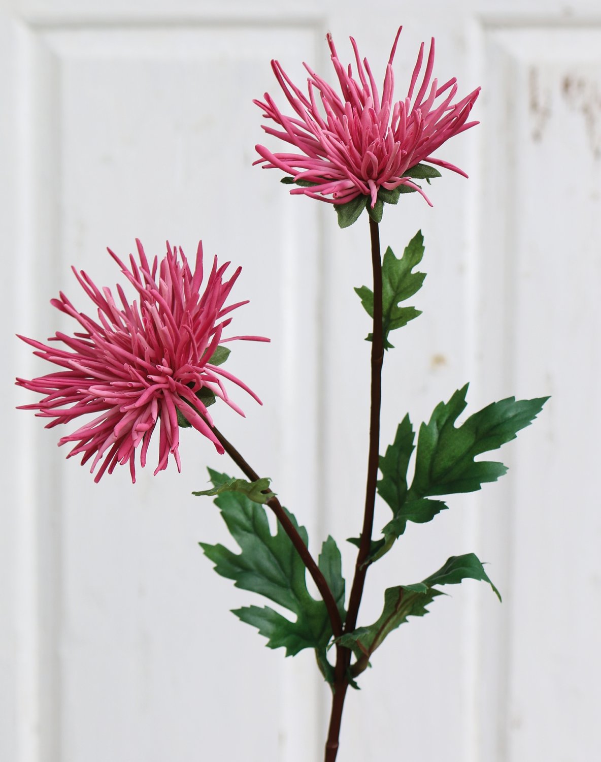 Künstliche Strahlen-Chrysantheme, 2-fach, 72 cm, hellrosa-dunkelrosa