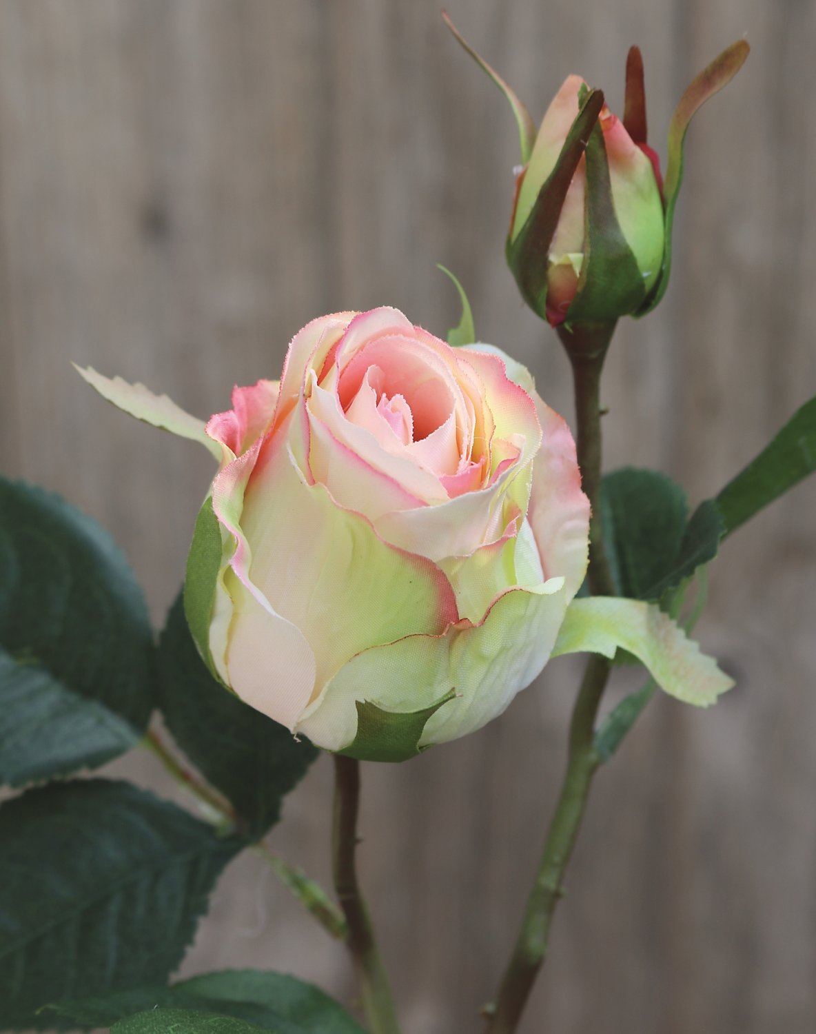 Künstliche Rose, 1 Blüte, 1 Knospe, 45 cm, creme-aprikose