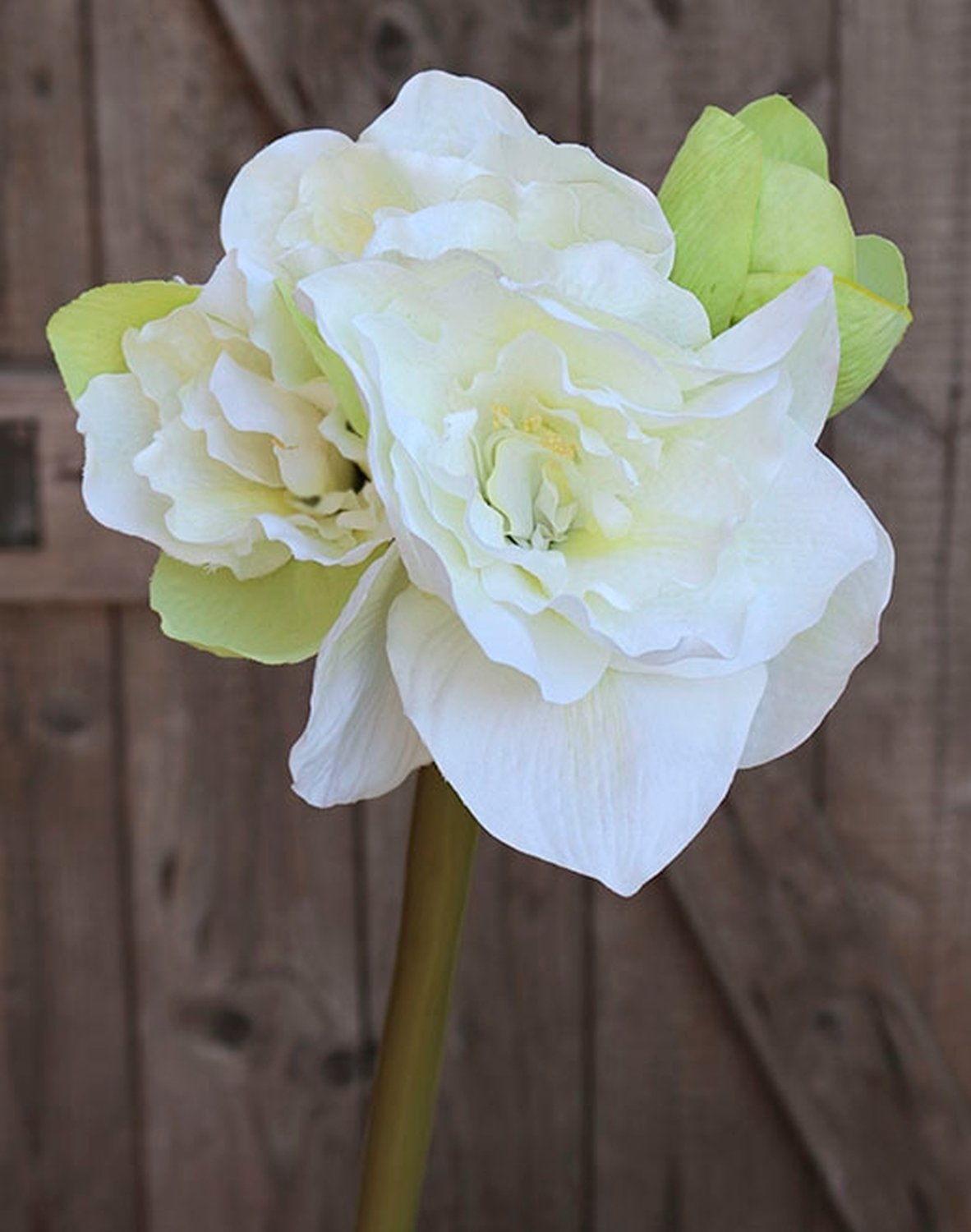 Künstliche Amaryllis, 4-fach, 80 cm, weiß-grün