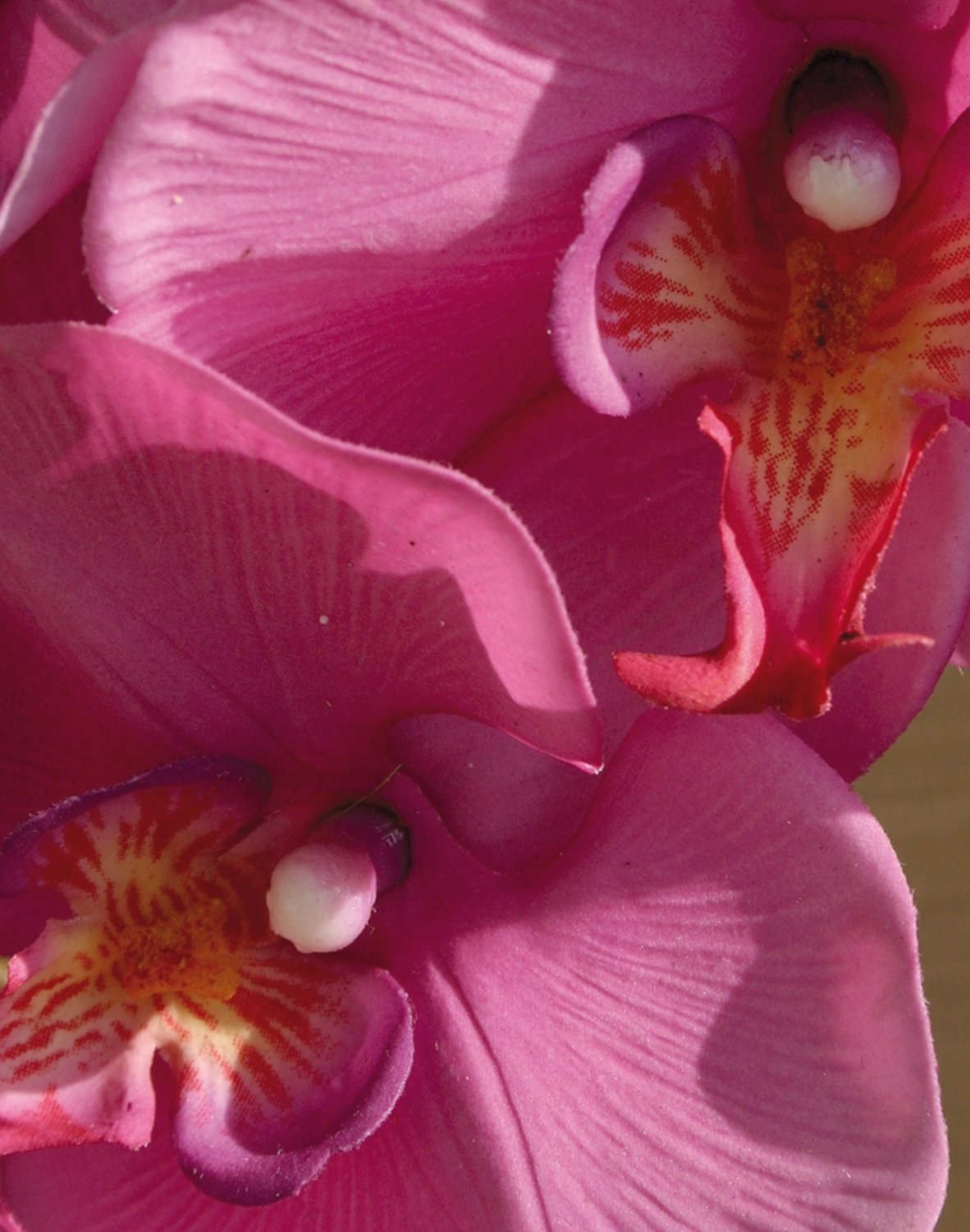 Künstliche Orchidee Auf Kunst-Erdballen "real Touch" Creme-weiß