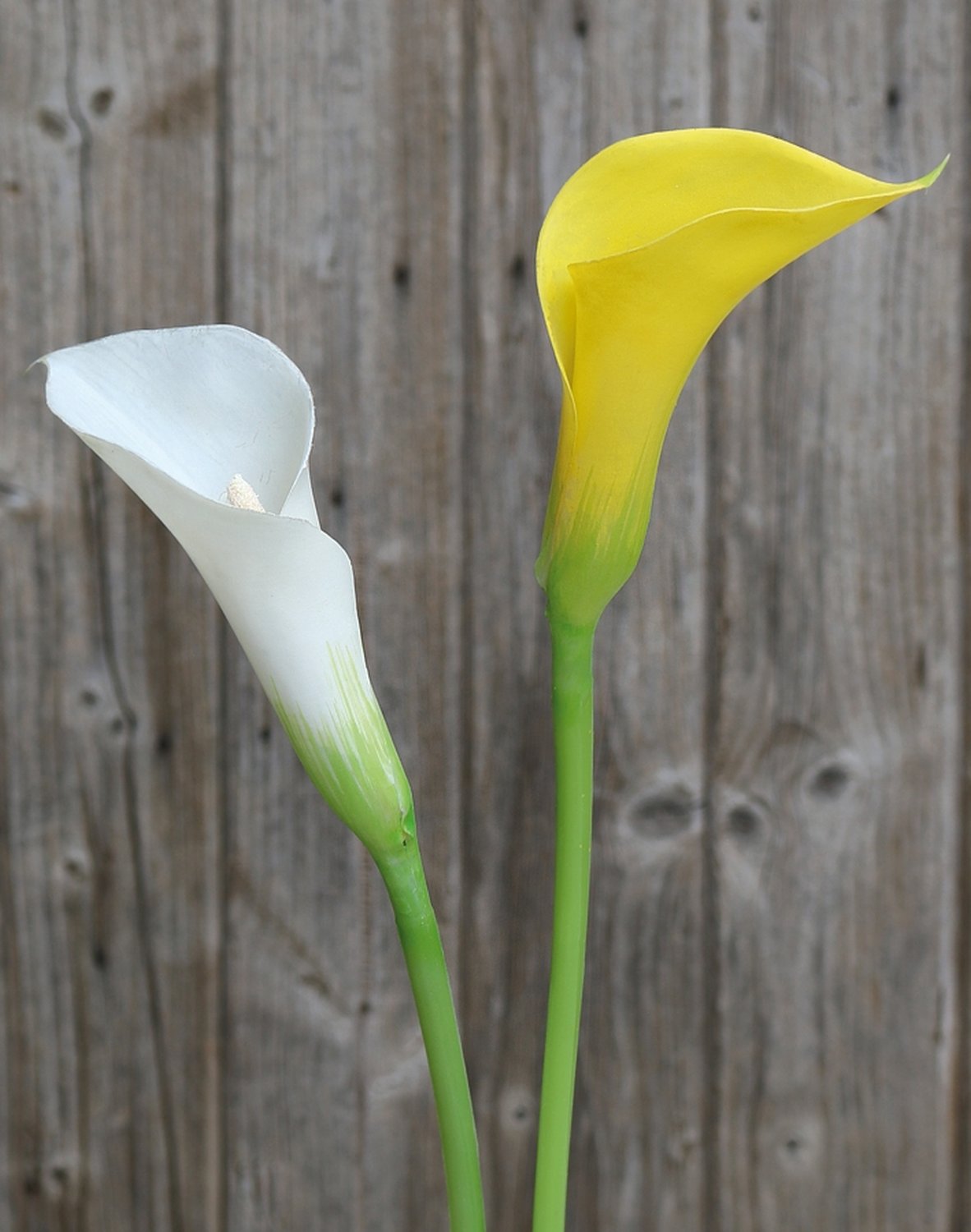 Künstliche Calla aus Kunststoff, 75 cm, weiß