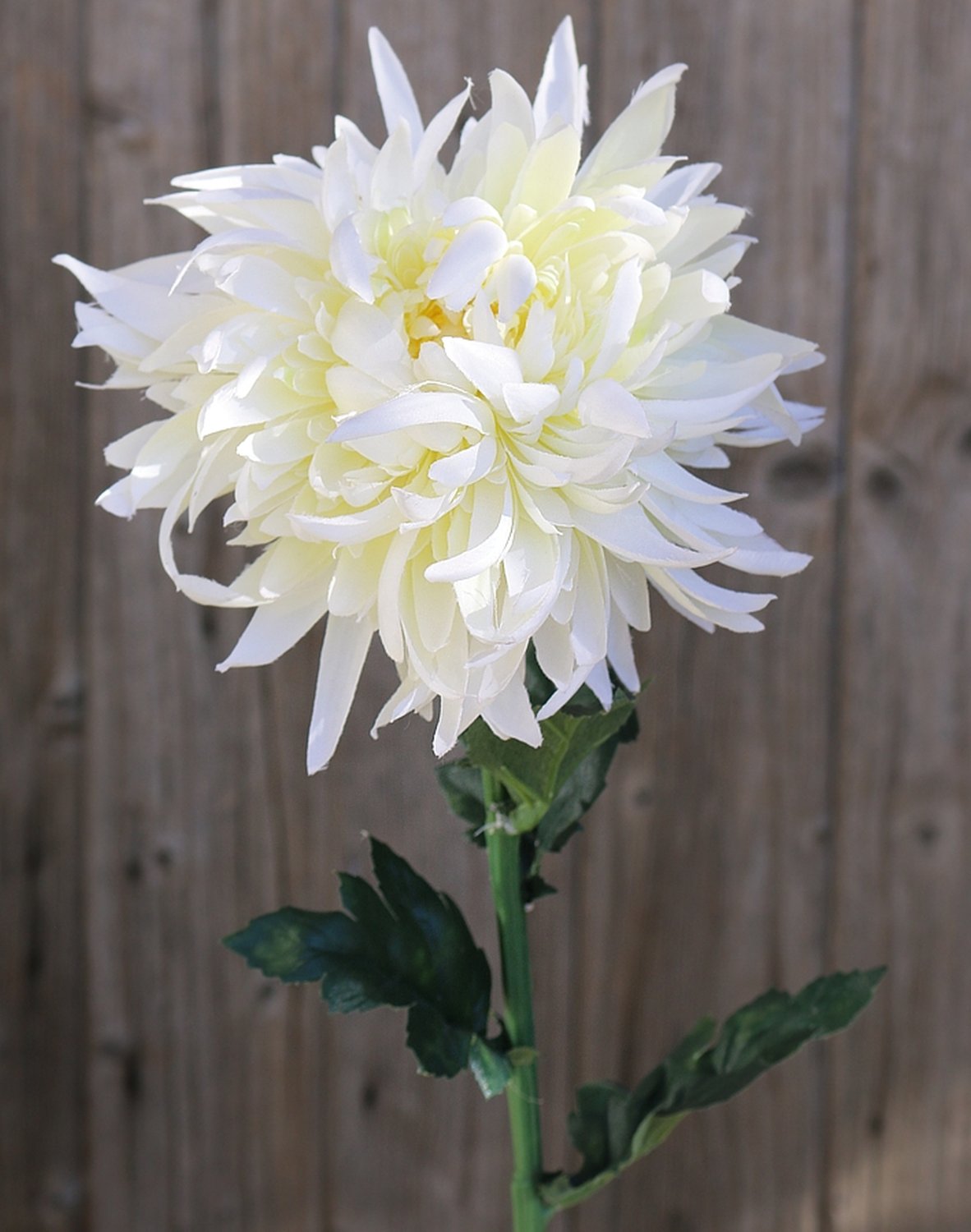 Künstliche Chrysantheme, 62 cm, creme-weiß